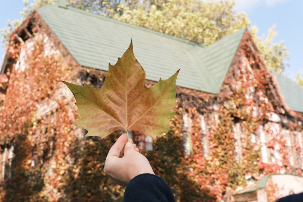 a person holding a leaf in front of a house