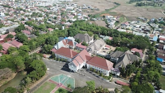 An aerial view of a densely populated urban area featuring a cluster of buildings with red and grayish roofs surrounded by lush greenery. The scene includes a mix of residential and possibly institutional structures with a winding road running through the area. In the foreground, there's a multi-use open space, possibly a court, adjacent to a tree-lined street. The background features agricultural fields stretching toward the horizon.