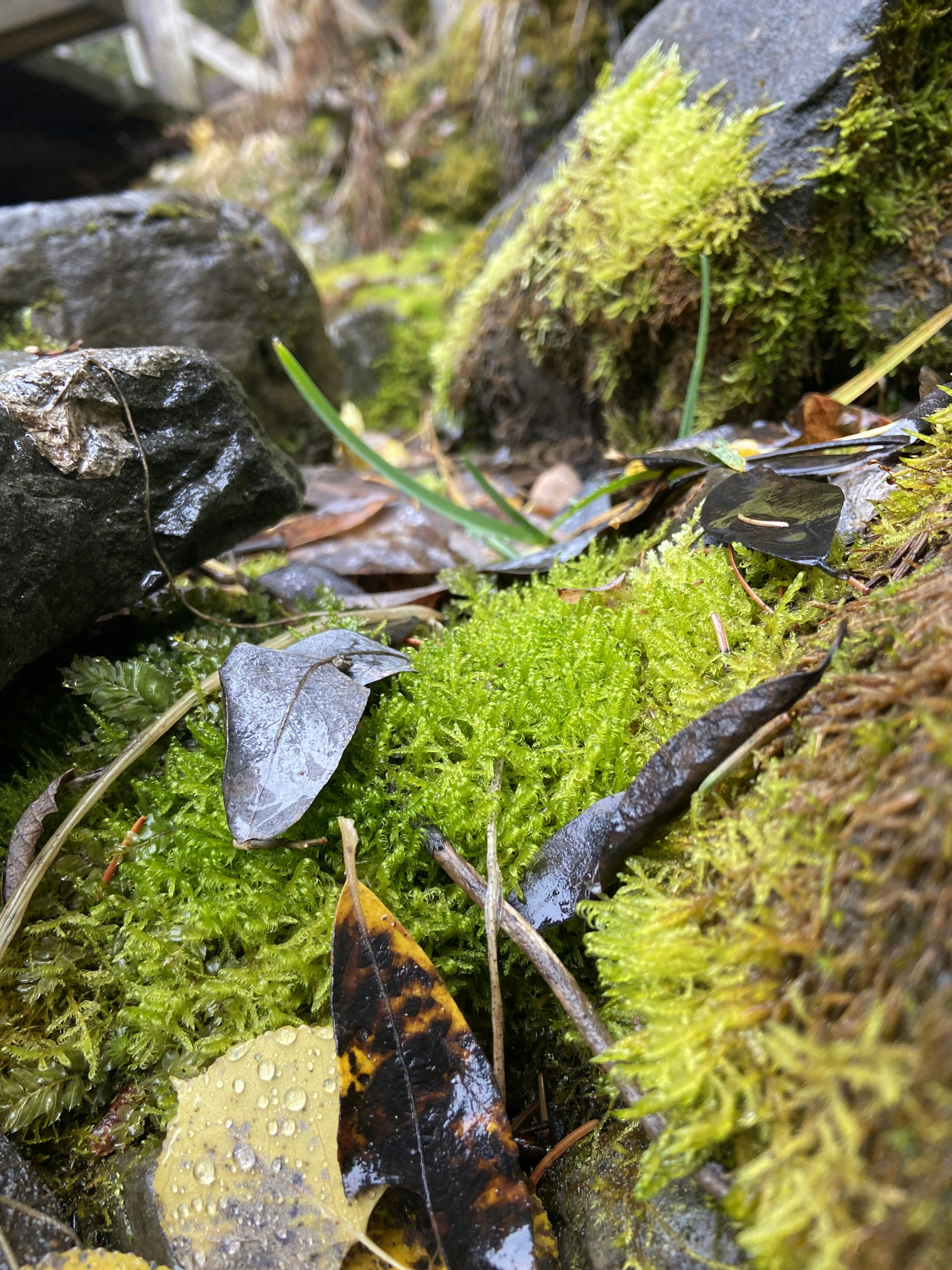 Photo by beutifulnature