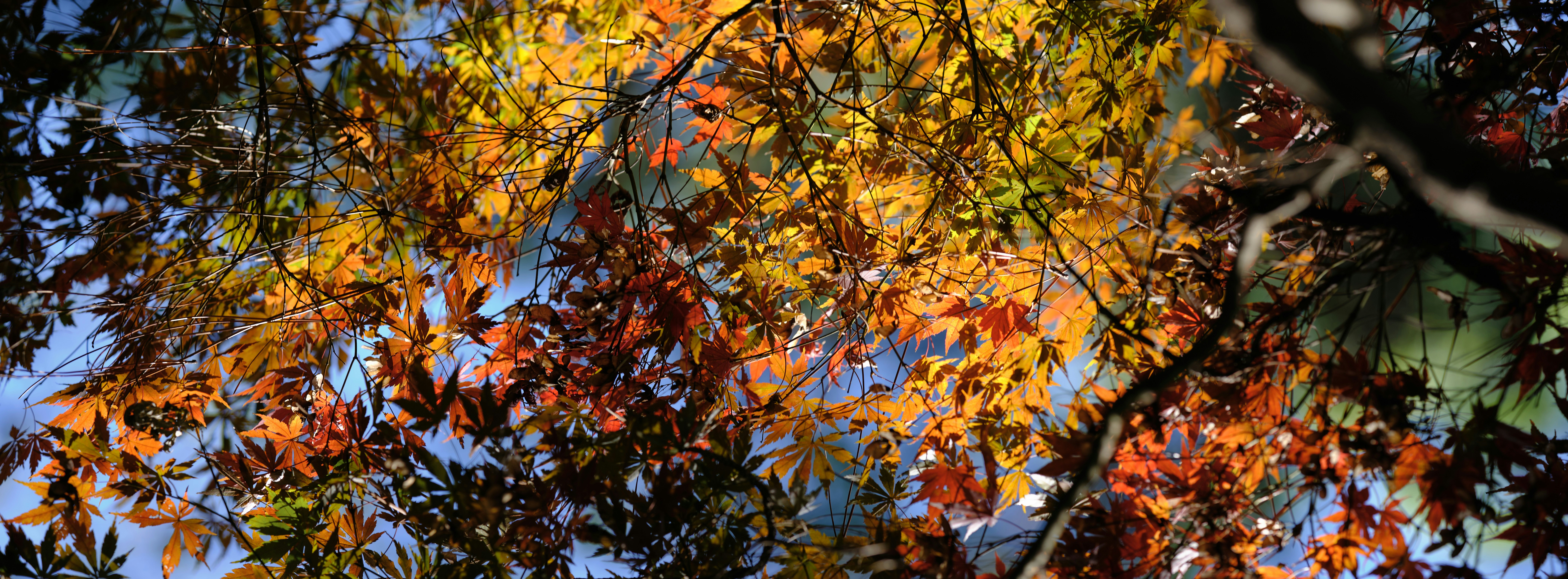 Photo by ypbehere