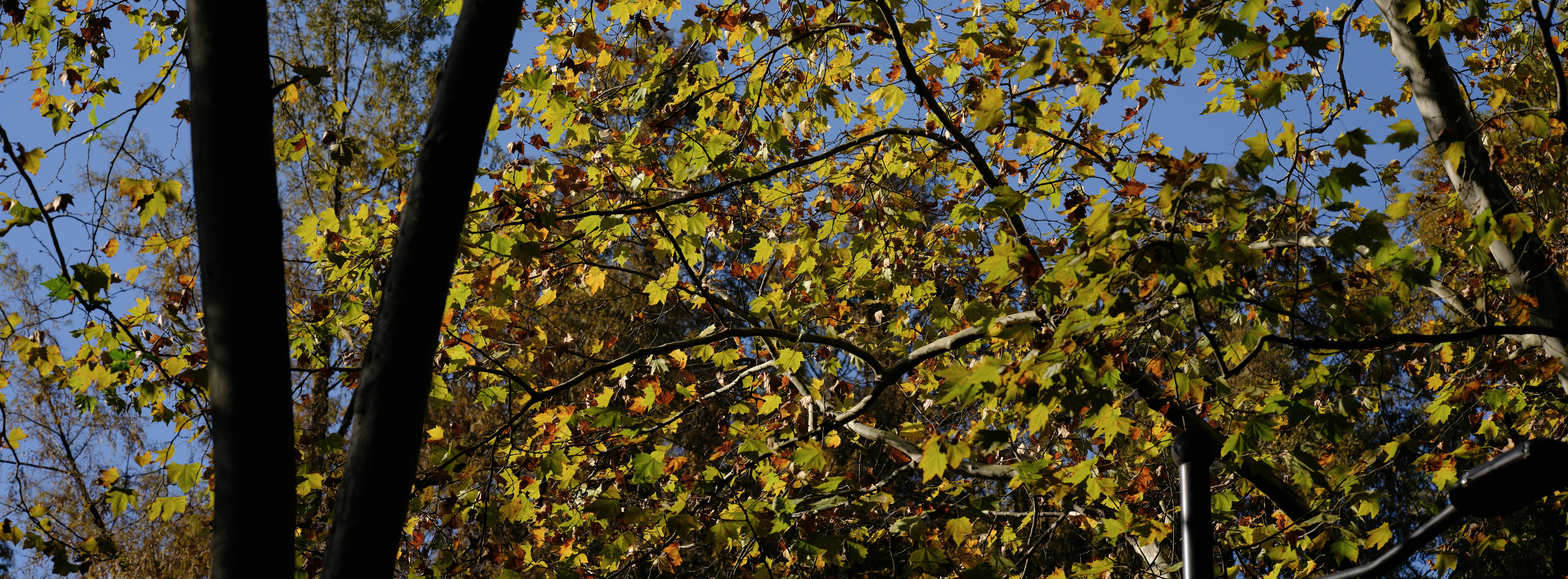Photo by ypbehere