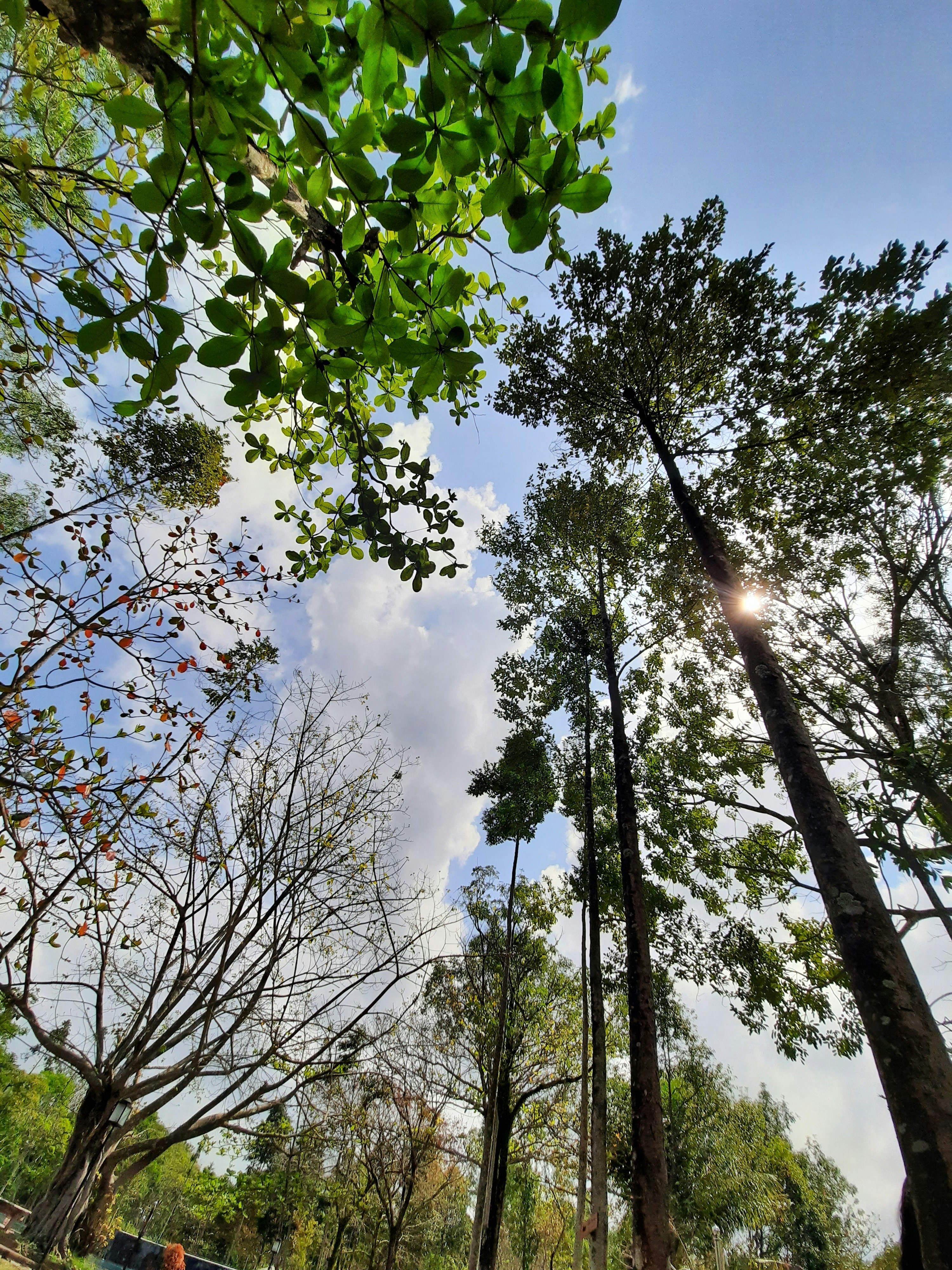 Photo by bonguyenthingoc