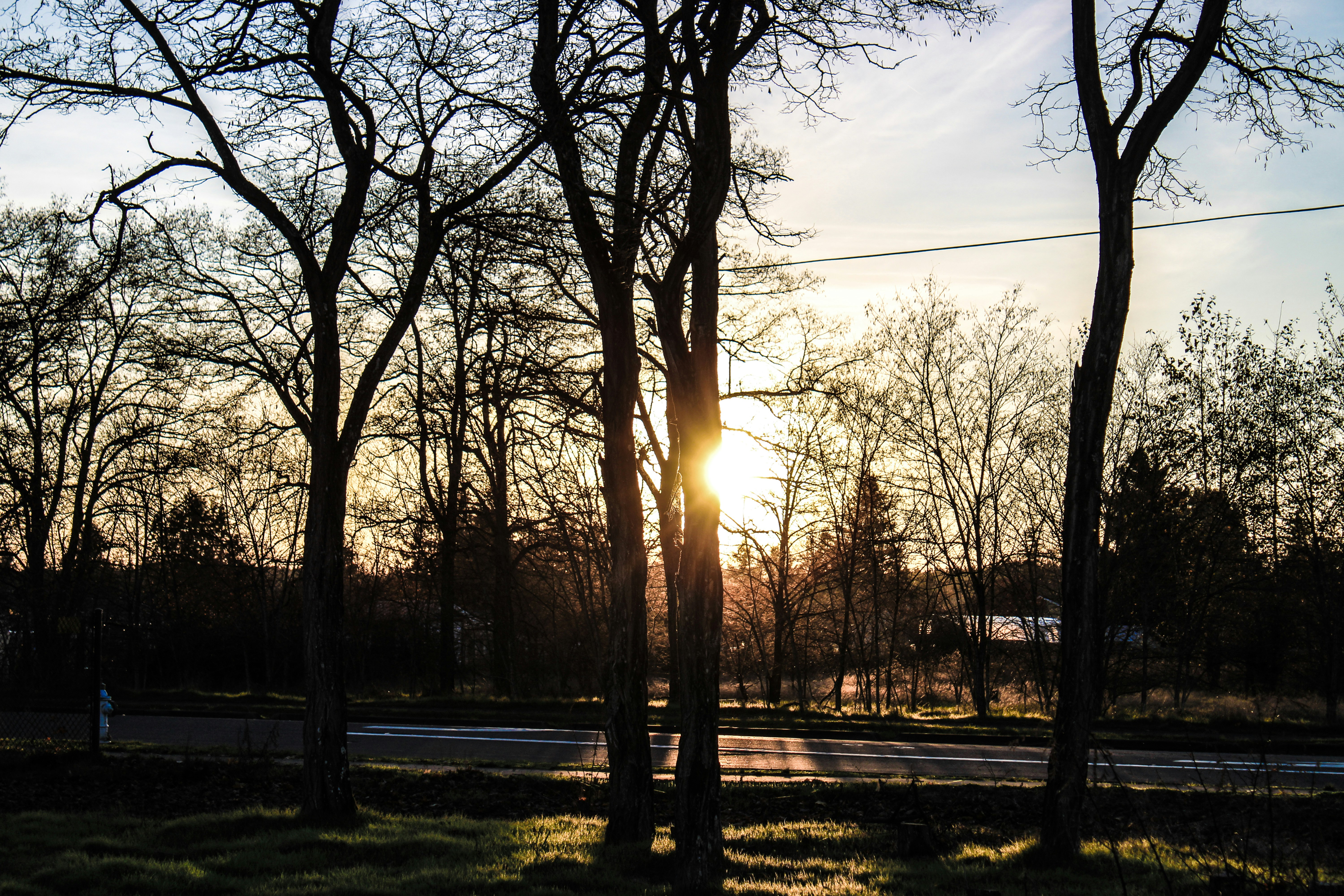 Photo by prphotography262