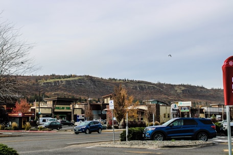 A commercial area with various stores like Wells Fargo, Dollar Tree, and Rivermark Credit Union. A blue SUV is parked in the lot, and a 'For Lease' sign is visible. The background shows a hill with scattered vegetation under a cloudy sky. A leafless tree is on the left.