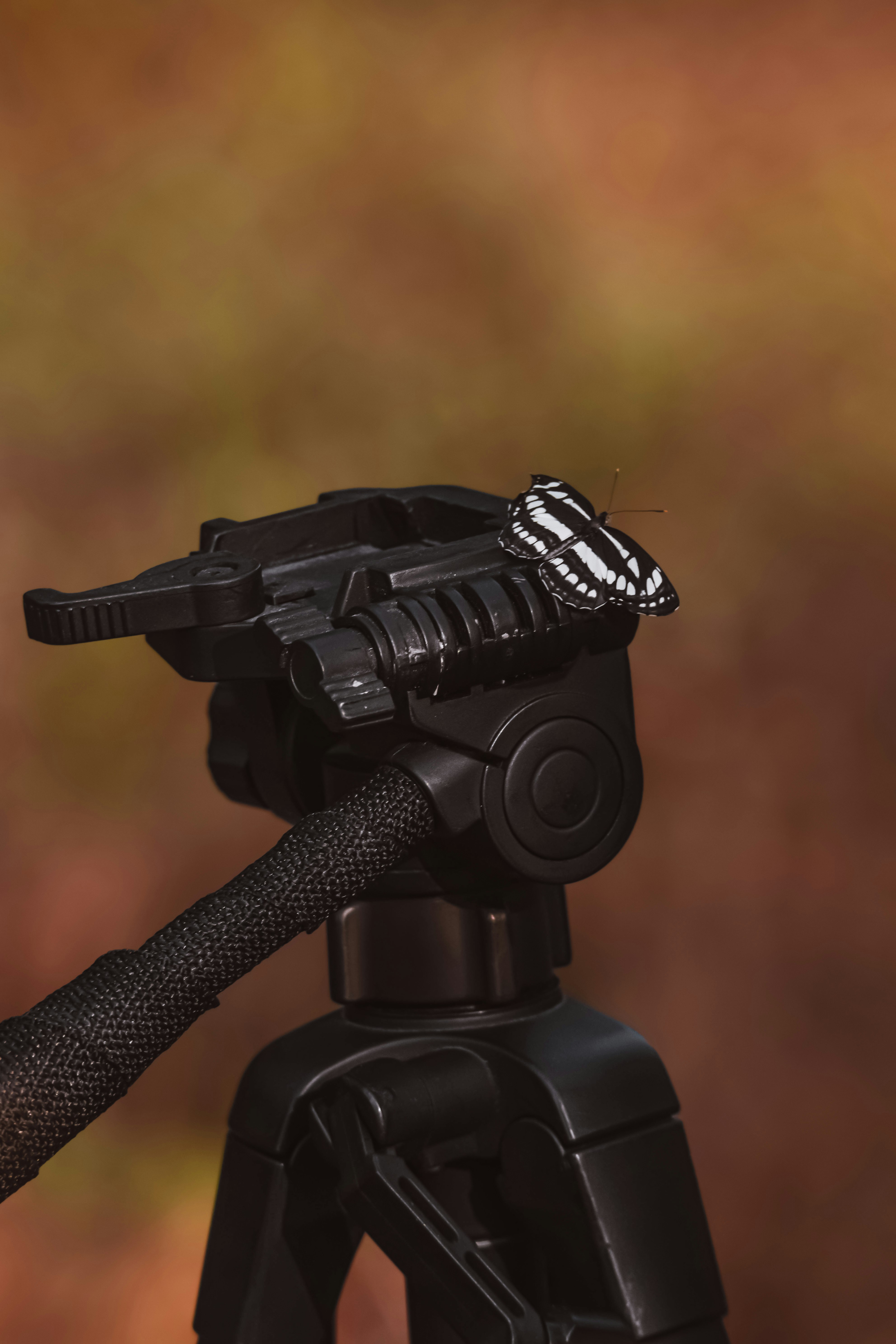 a tripod with a camera attached to it