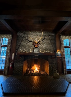 a fireplace with a deer head above it