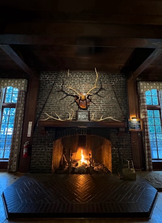 a fireplace with a deer head above it
