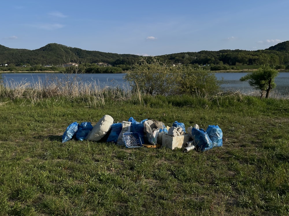 a pile of garbage sitting on top of a lush green field