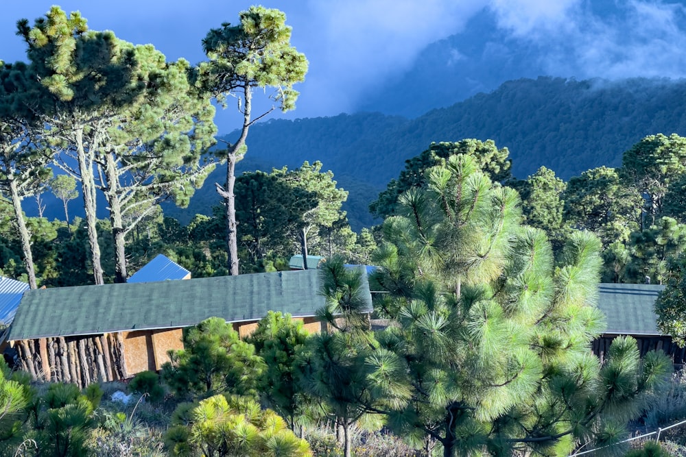 a cabin nestled in the woods with mountains in the background