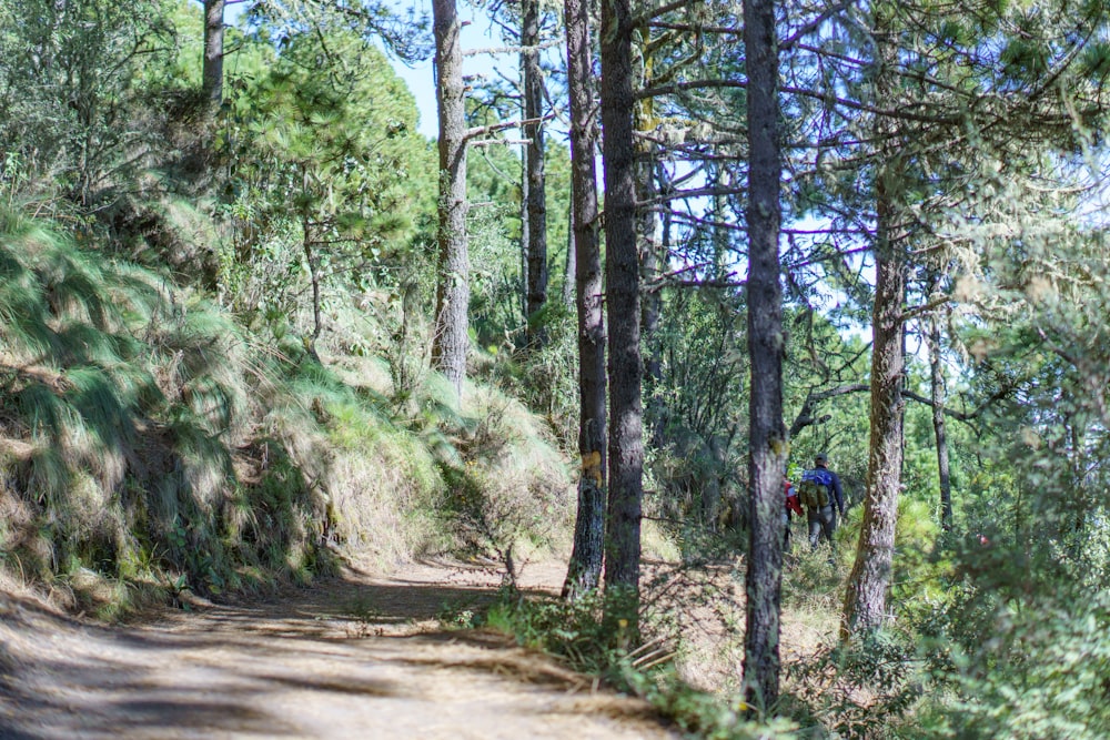 a man riding a bike down a dirt road through a forest