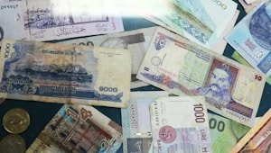 Global Supplier Pay