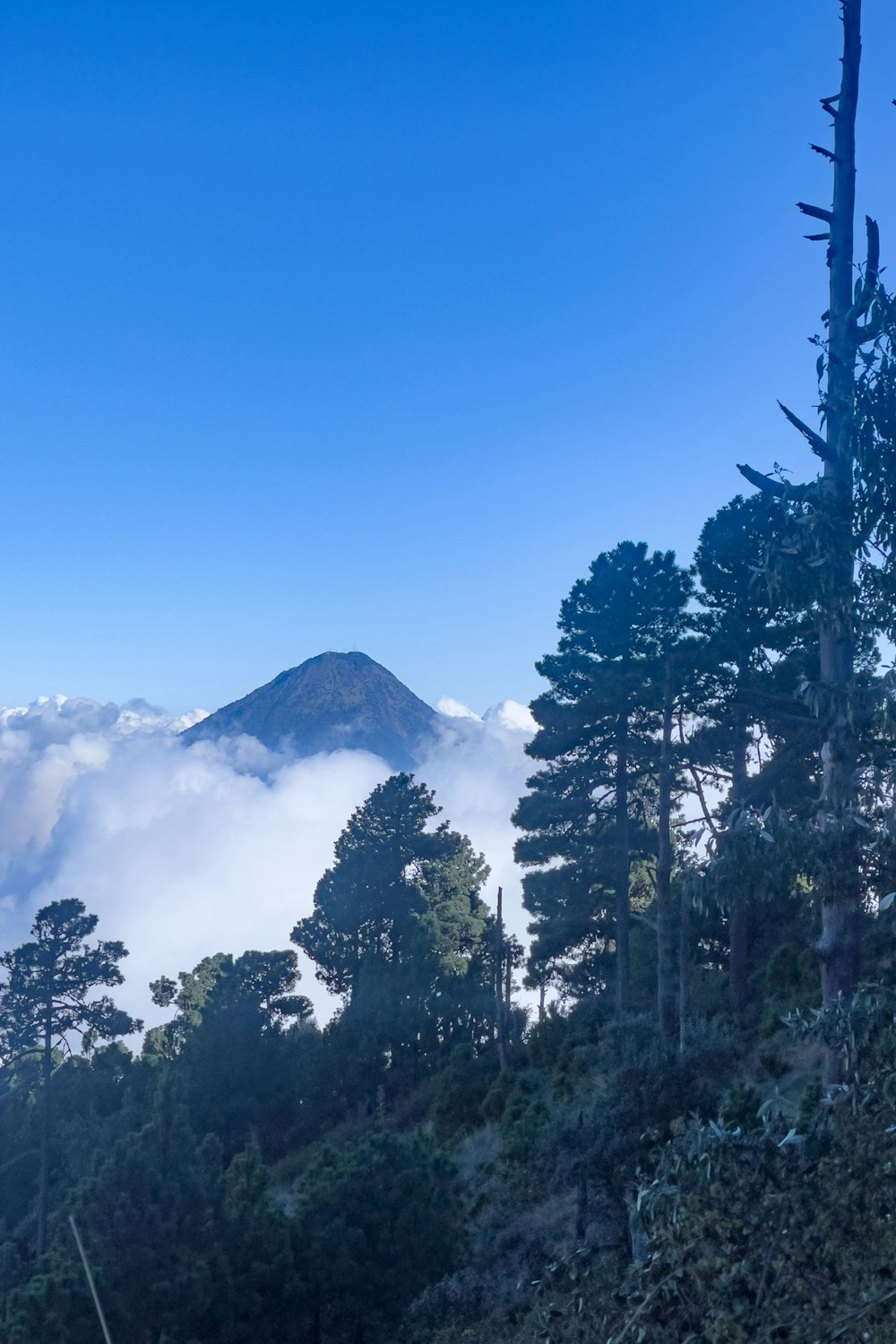 a mountain covered in clouds and trees