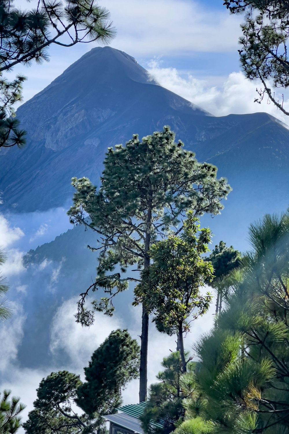 a view of a mountain with trees in the foreground