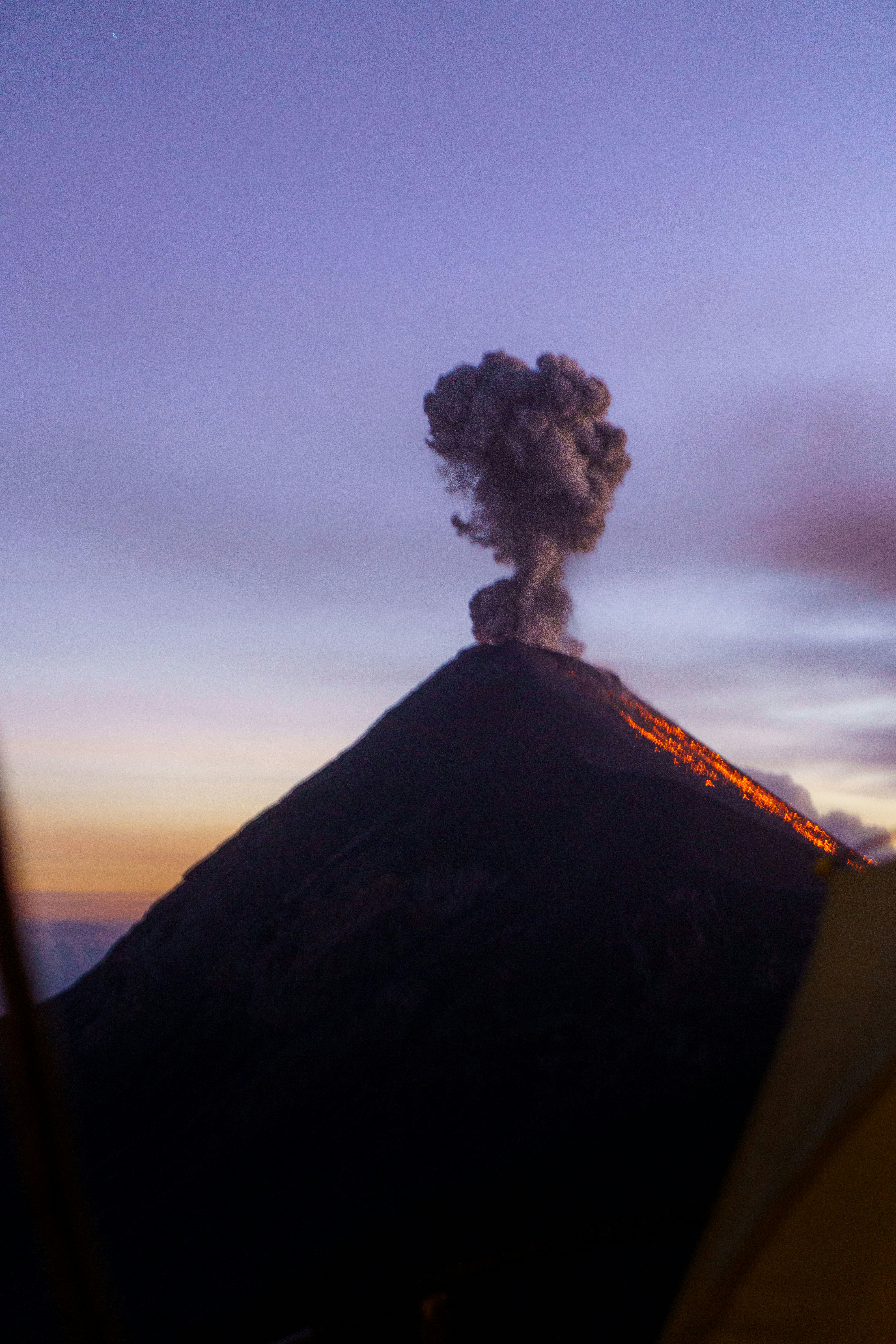 Success Stories: When Plant Monitoring Saves Lives (image credits: unsplash)