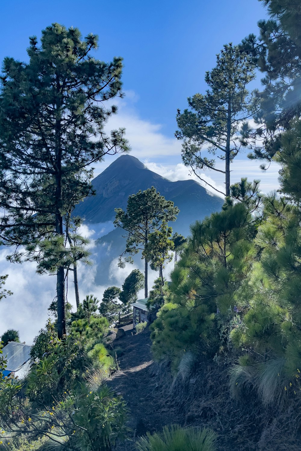 uma vista panorâmica das montanhas e árvores
