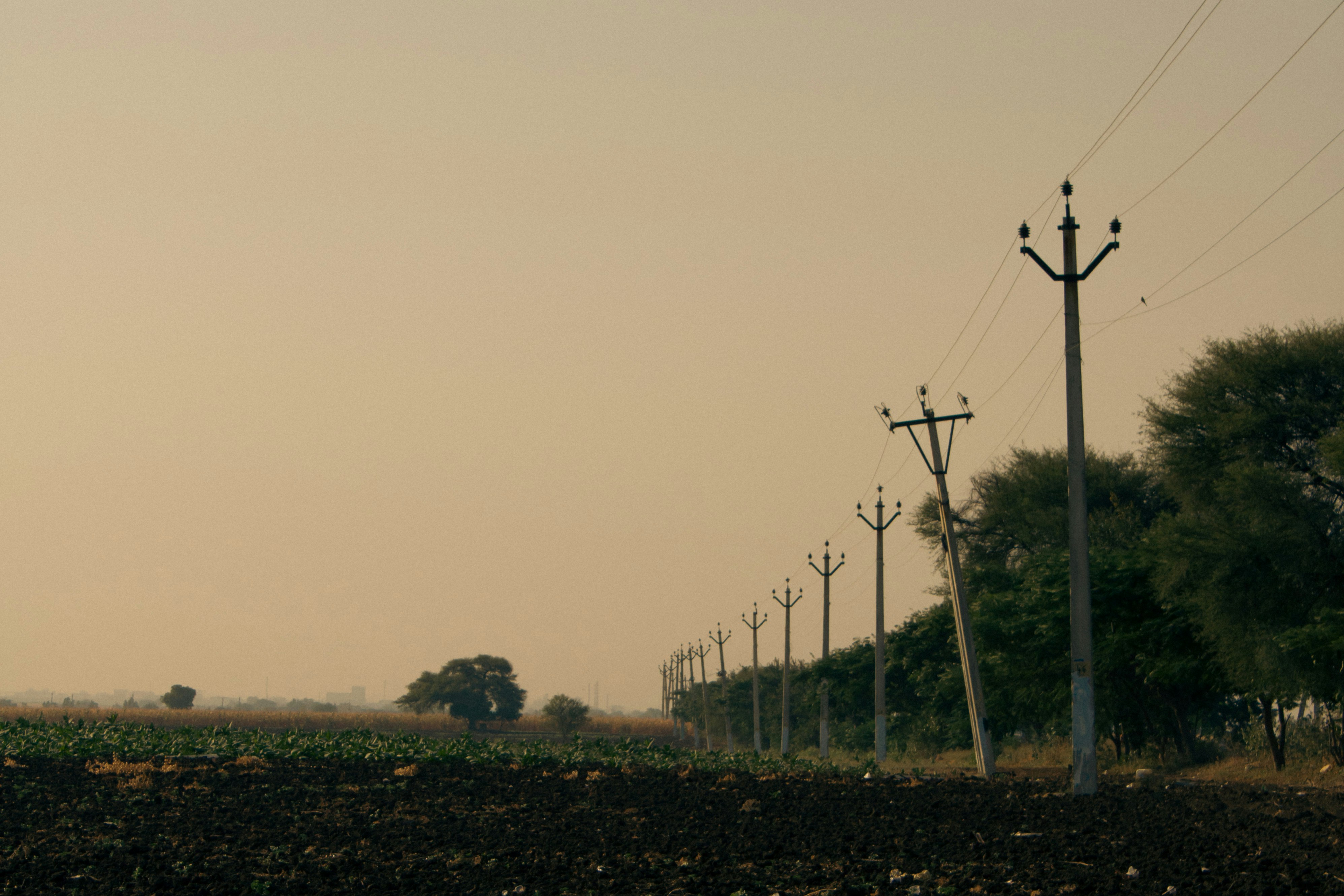 Photo by saicharath