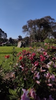 A serene garden scene filled with blooming flowers.