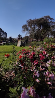 A serene garden with neatly trimmed trees and colorful flowers under a clear blue sky.