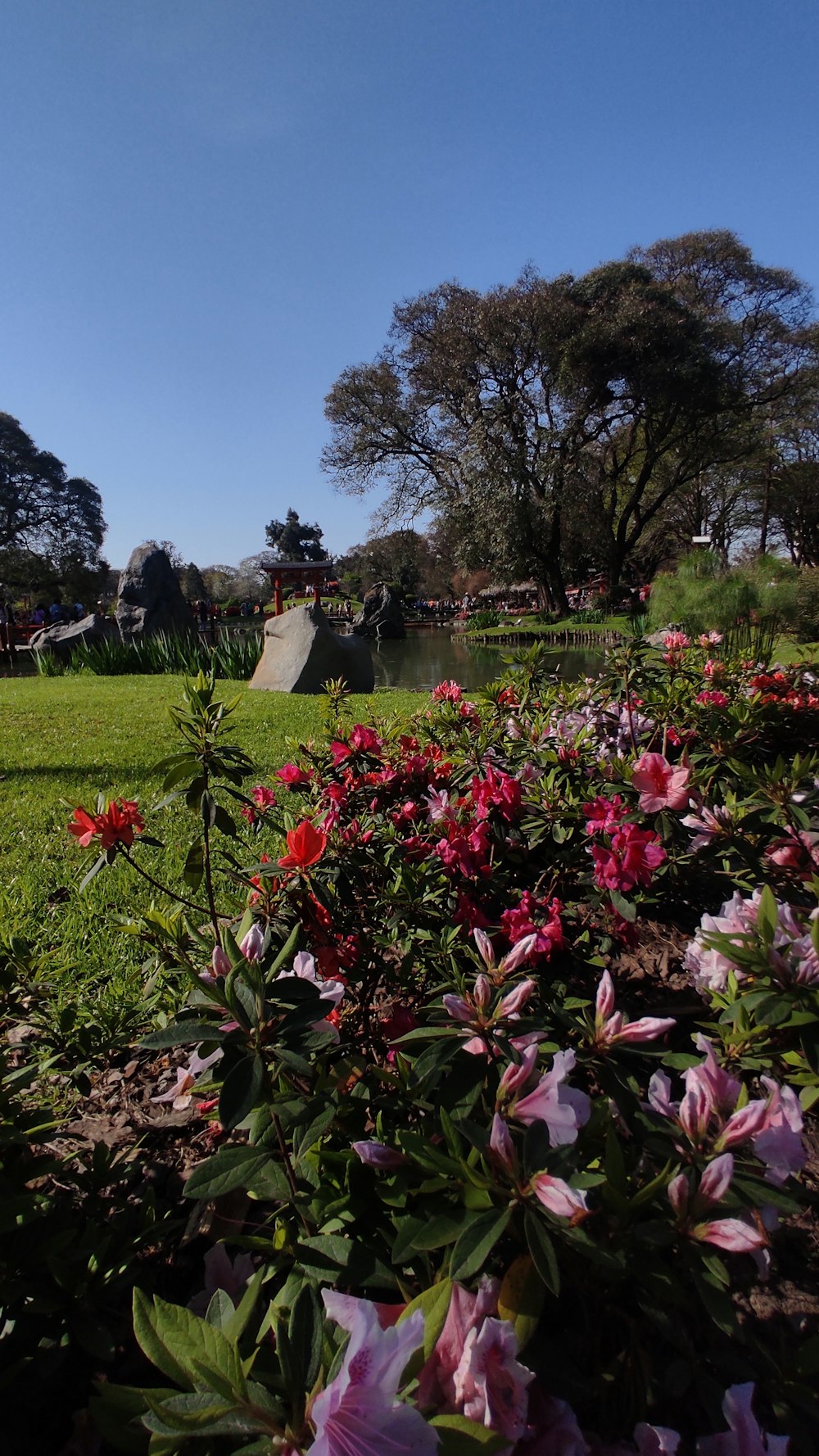 a field of flowers with a statue in the background