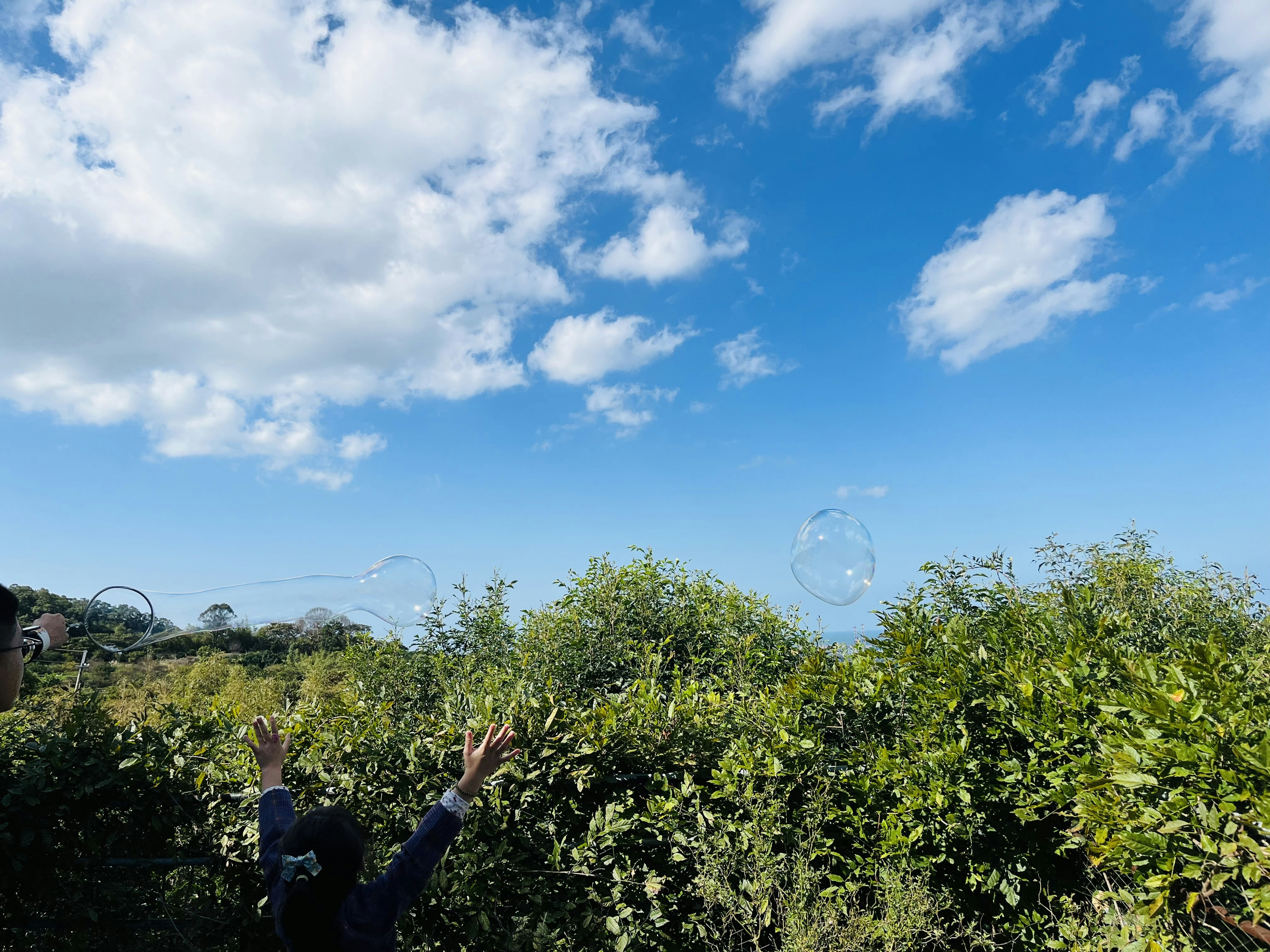 震驚！XX明星私生活大亂，形象崩塌倒數？！