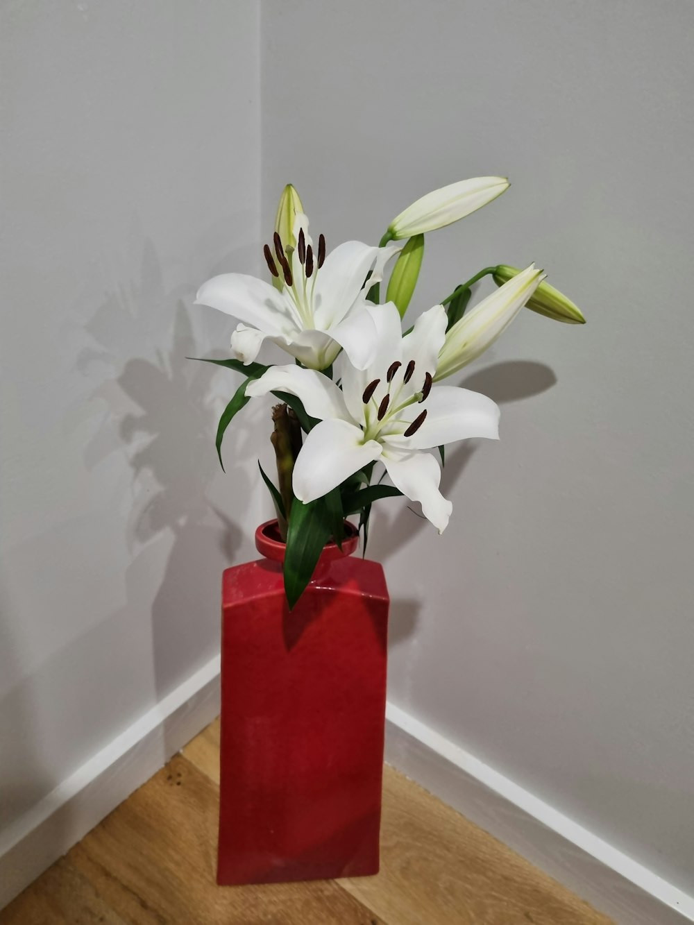 a red vase filled with white flowers on top of a wooden floor