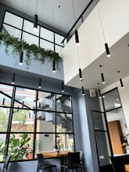 a restaurant with a lot of plants hanging from the ceiling