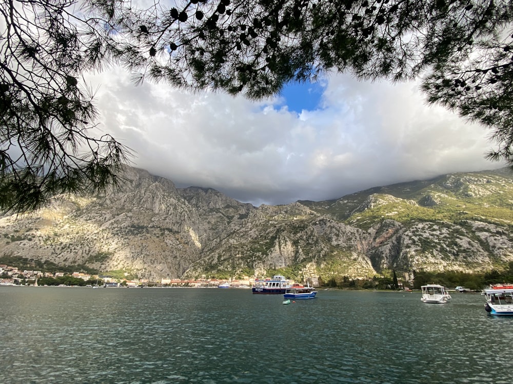 vários barcos flutuando em um grande corpo de água