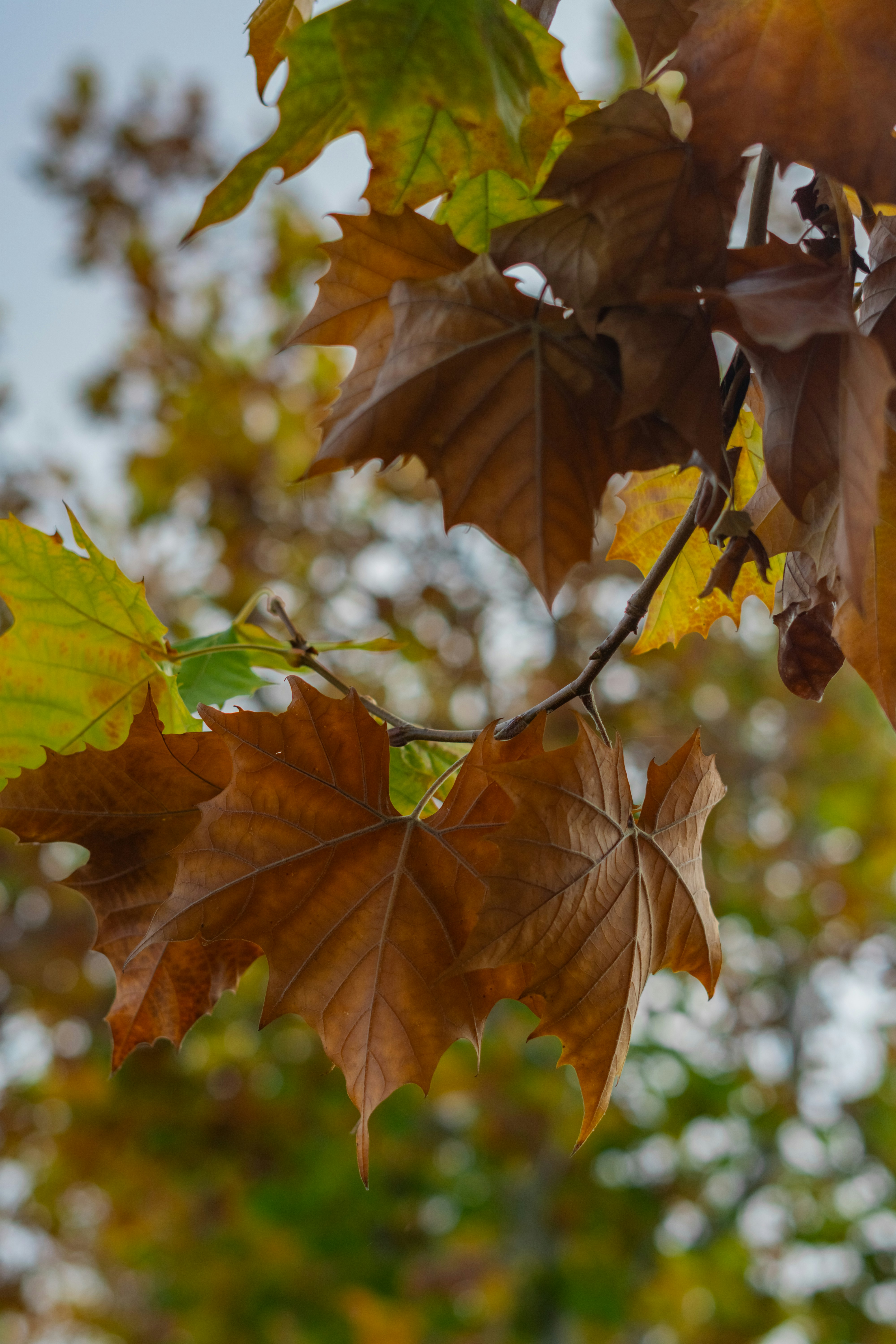 Photo by spencer_demera