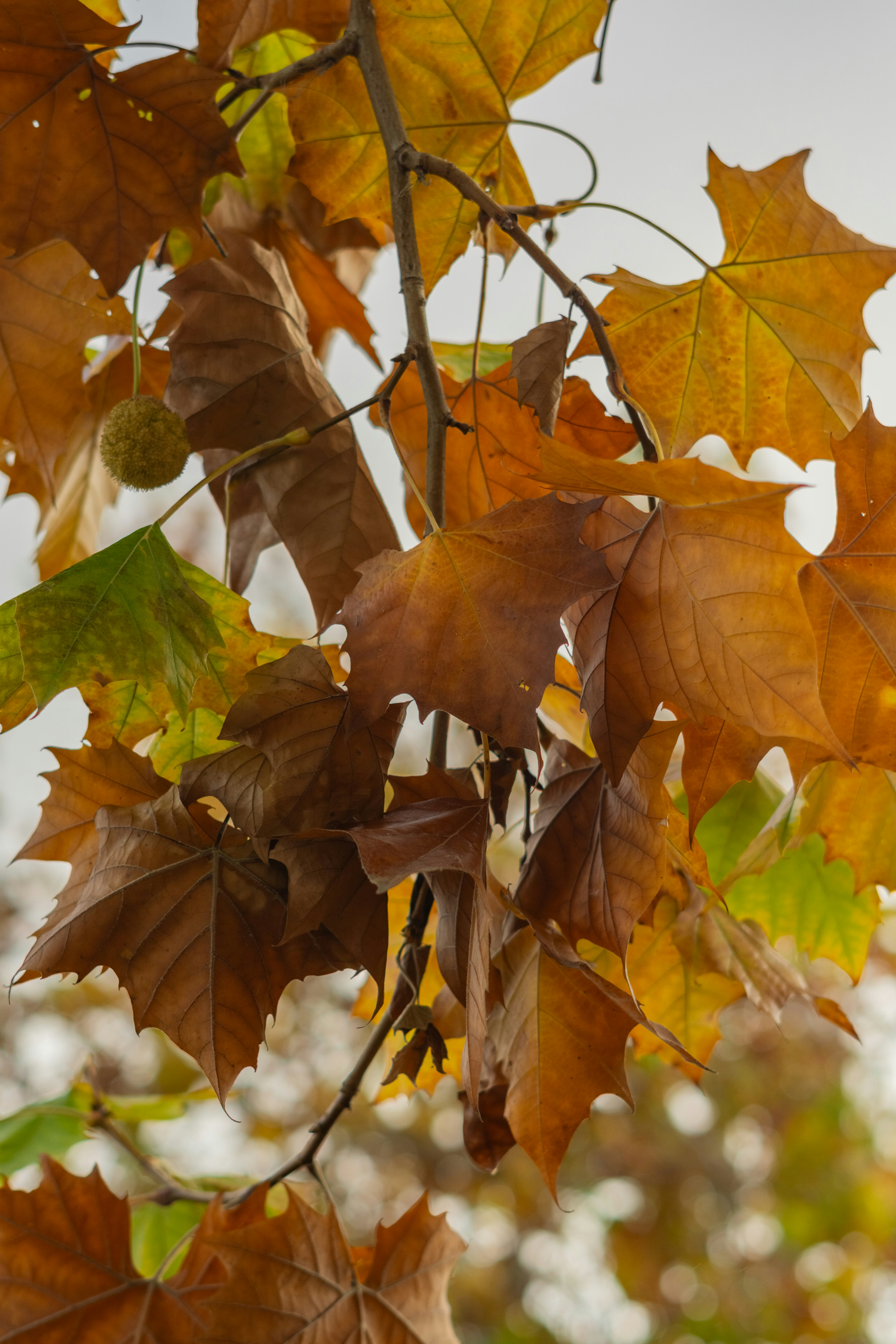 Photo by spencer_demera