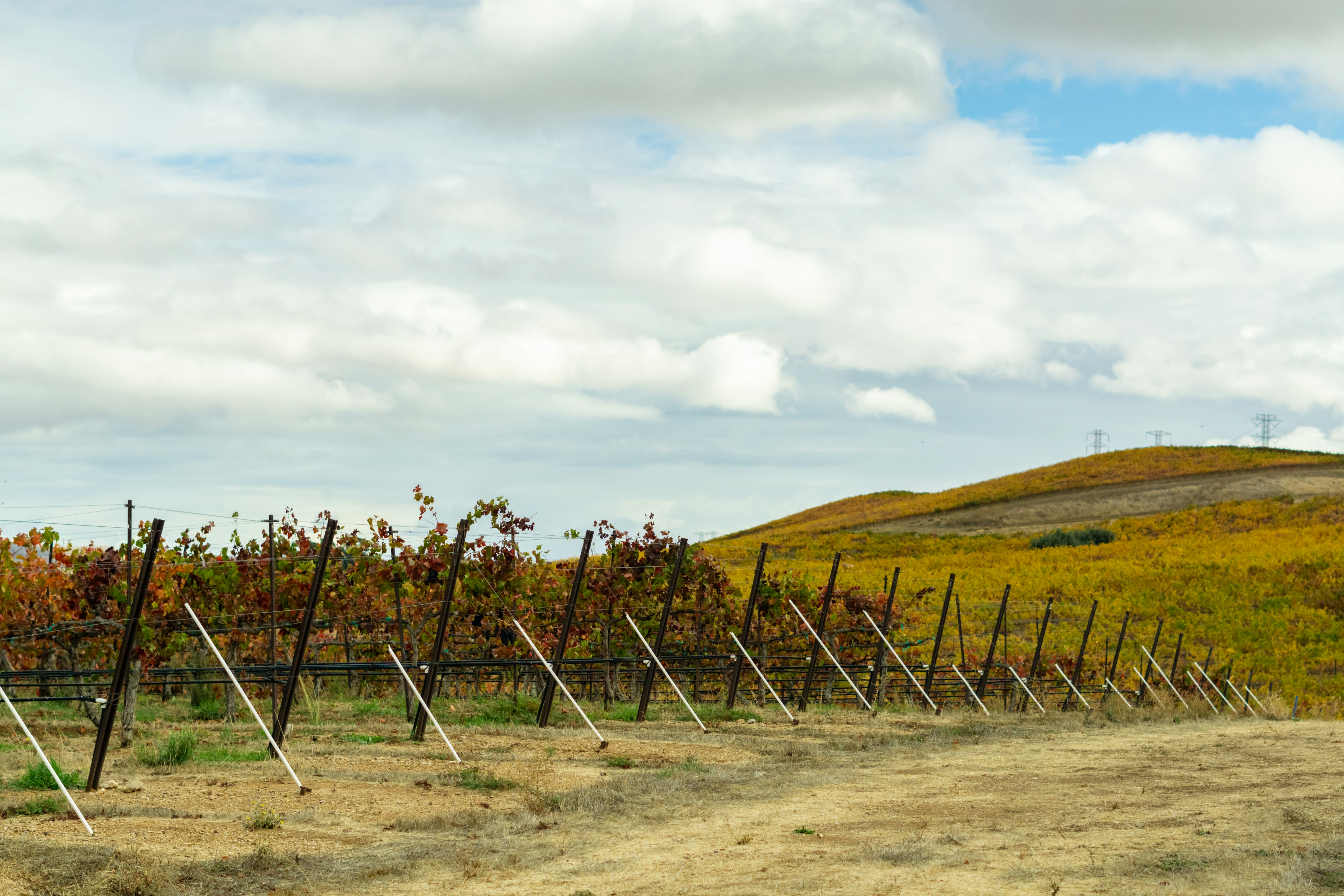 Photo by spencer_demera