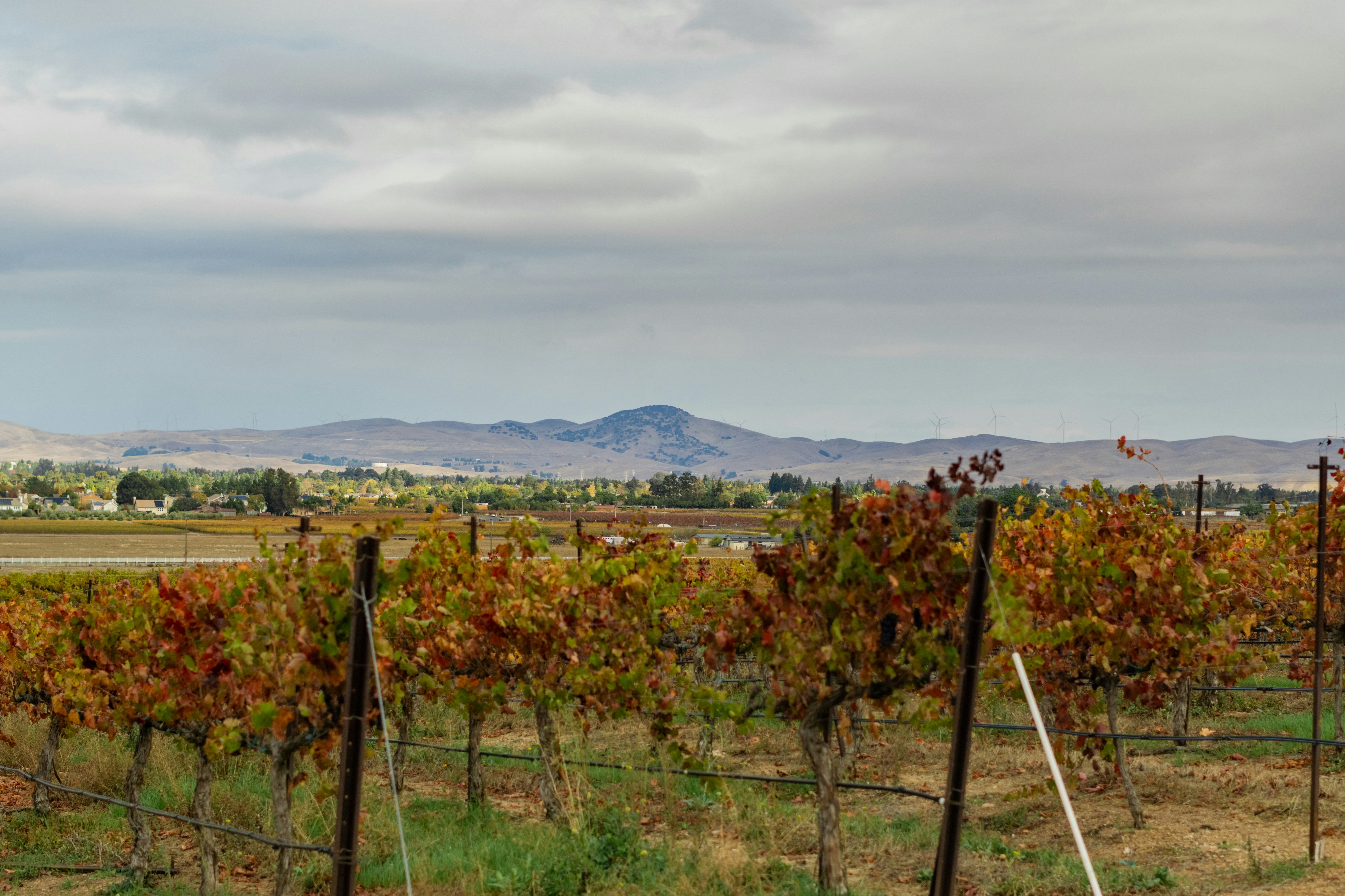 Photo by spencer_demera