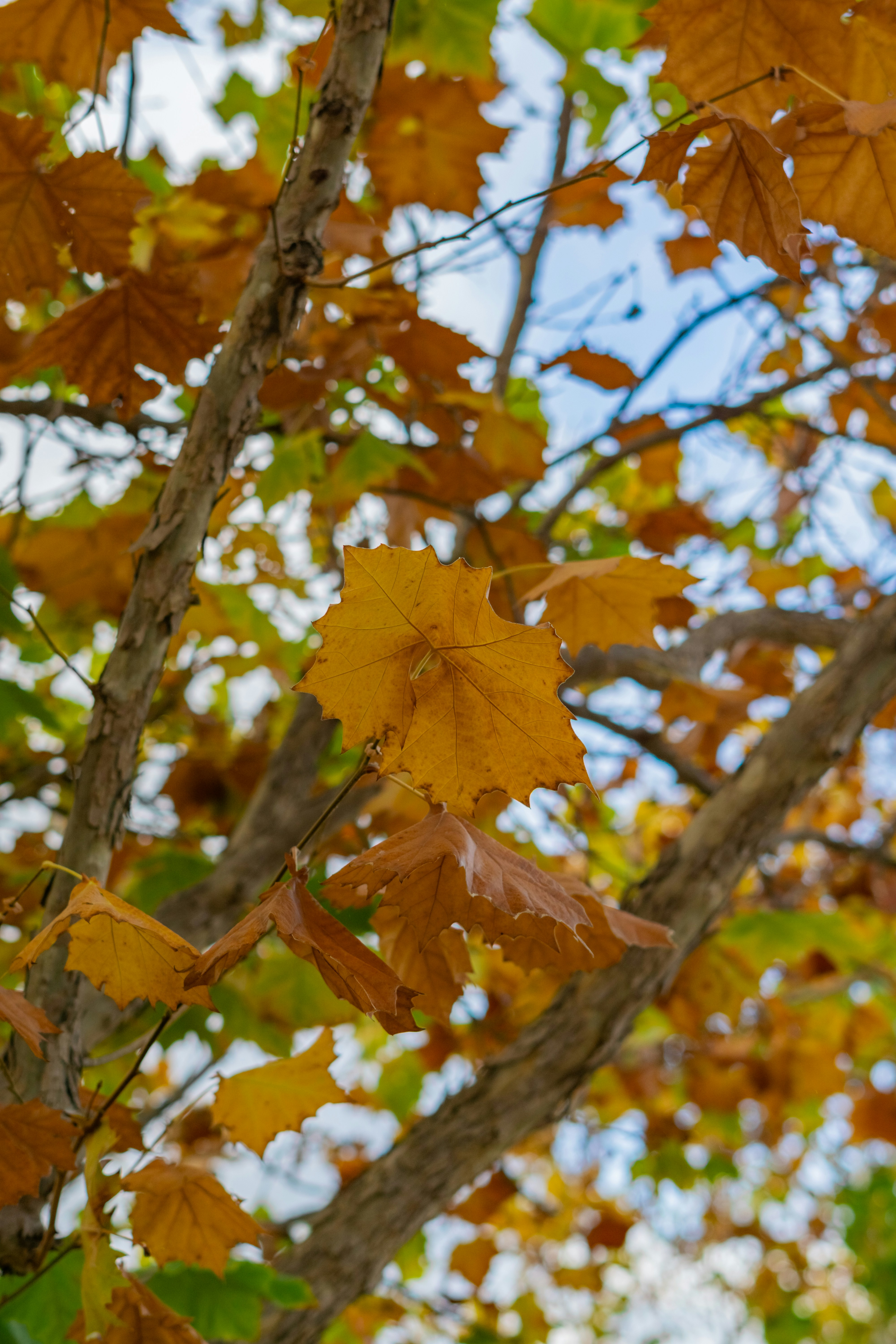 Photo by spencer_demera