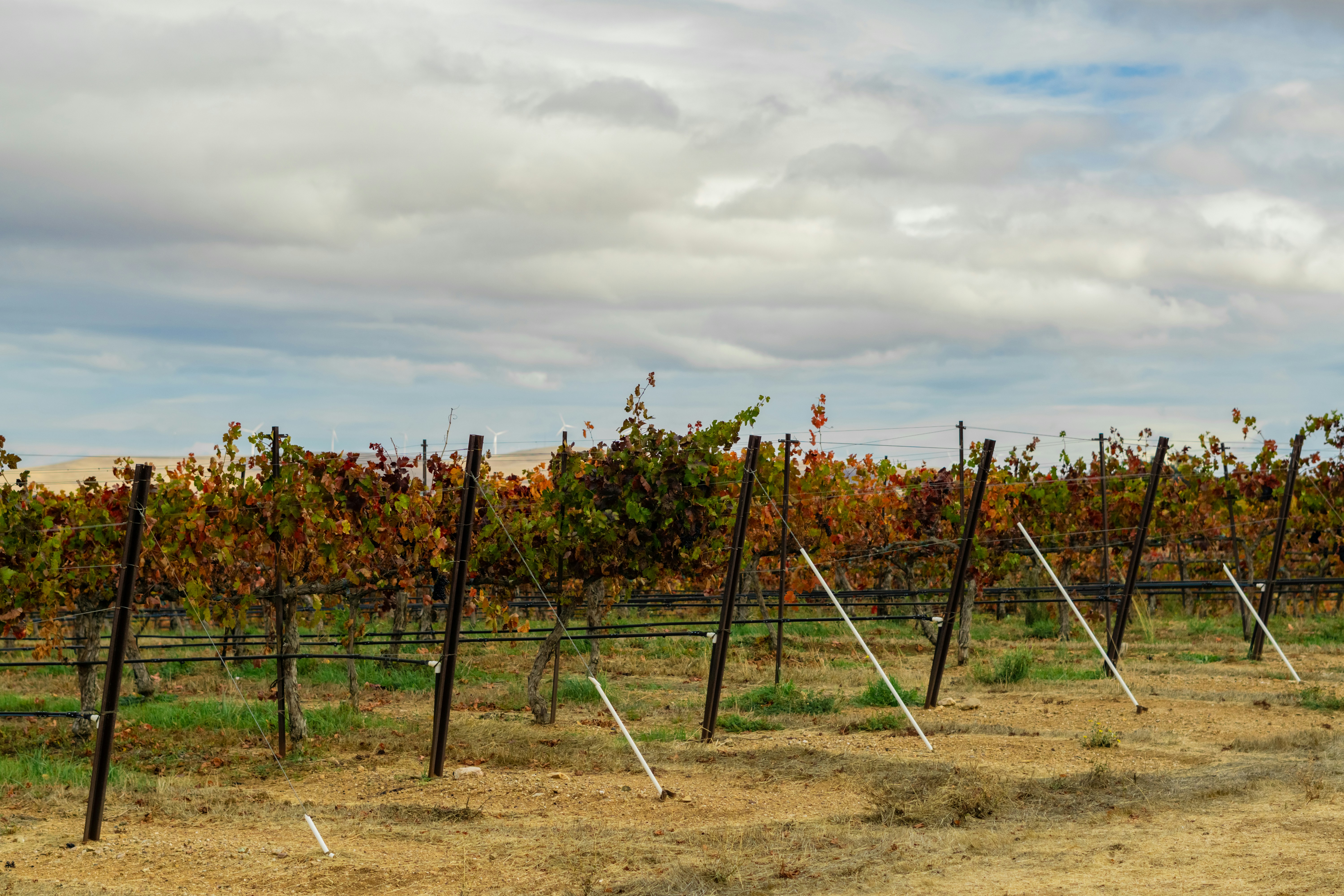 Photo by spencer_demera