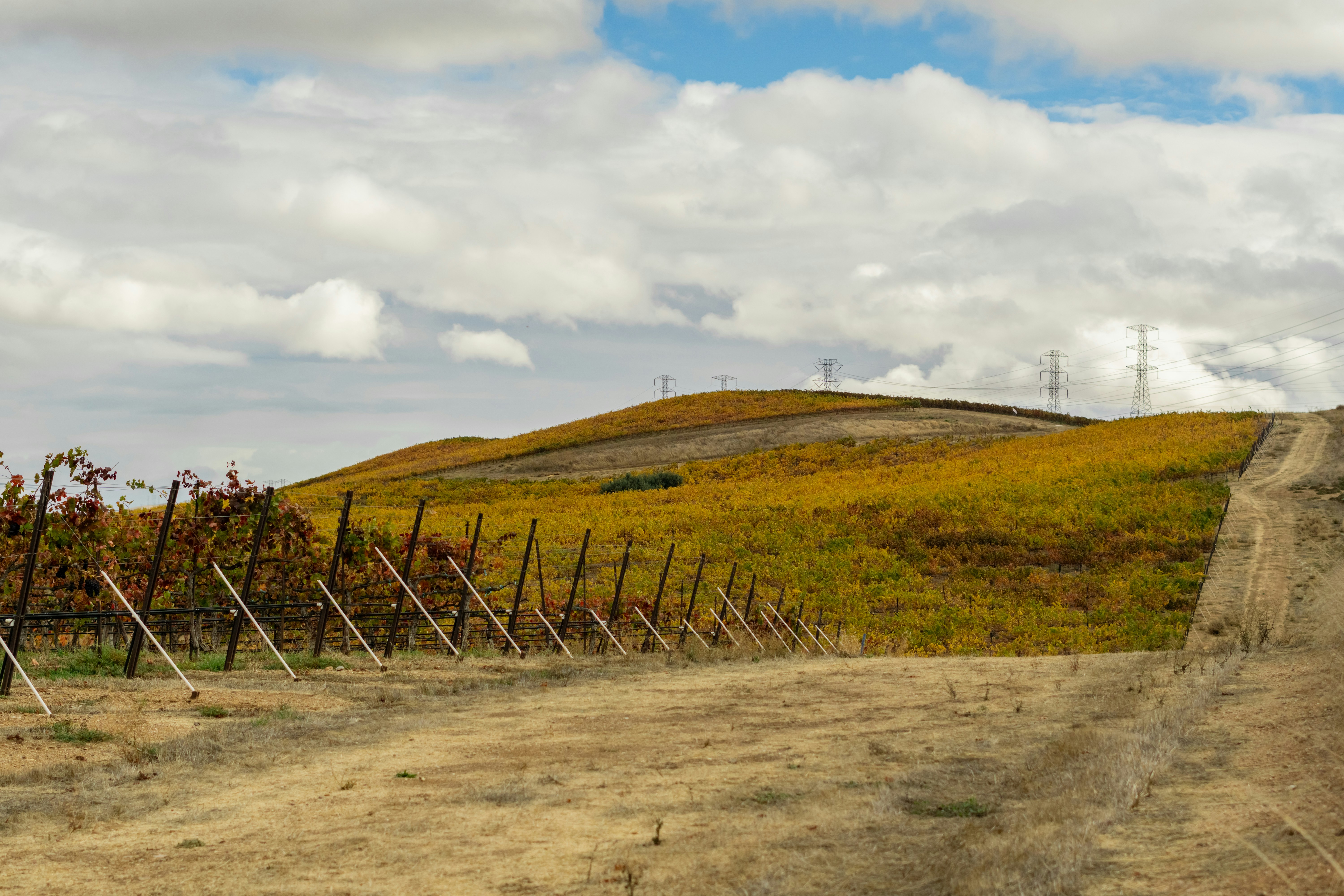 Photo by spencer_demera