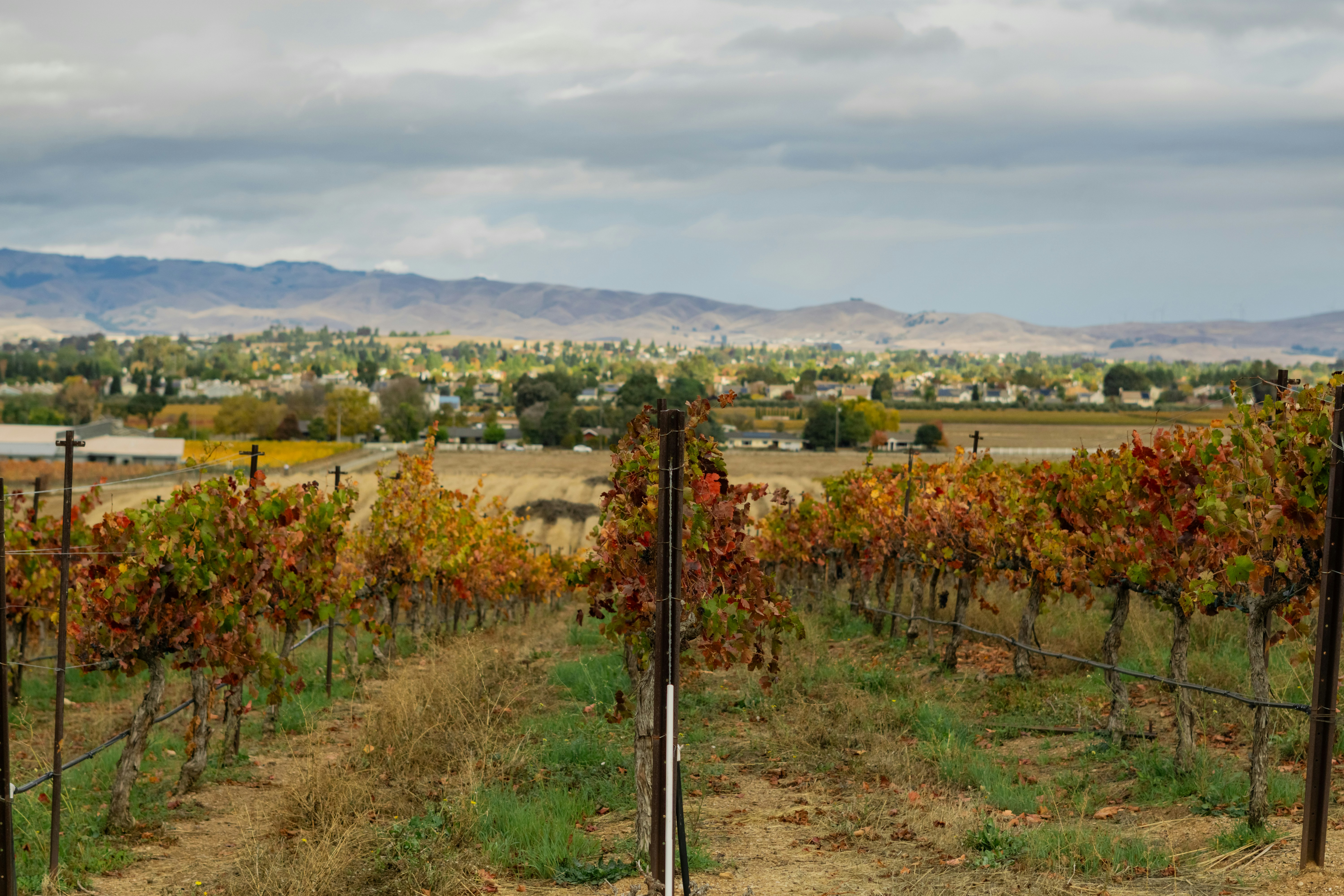 Photo by spencer_demera