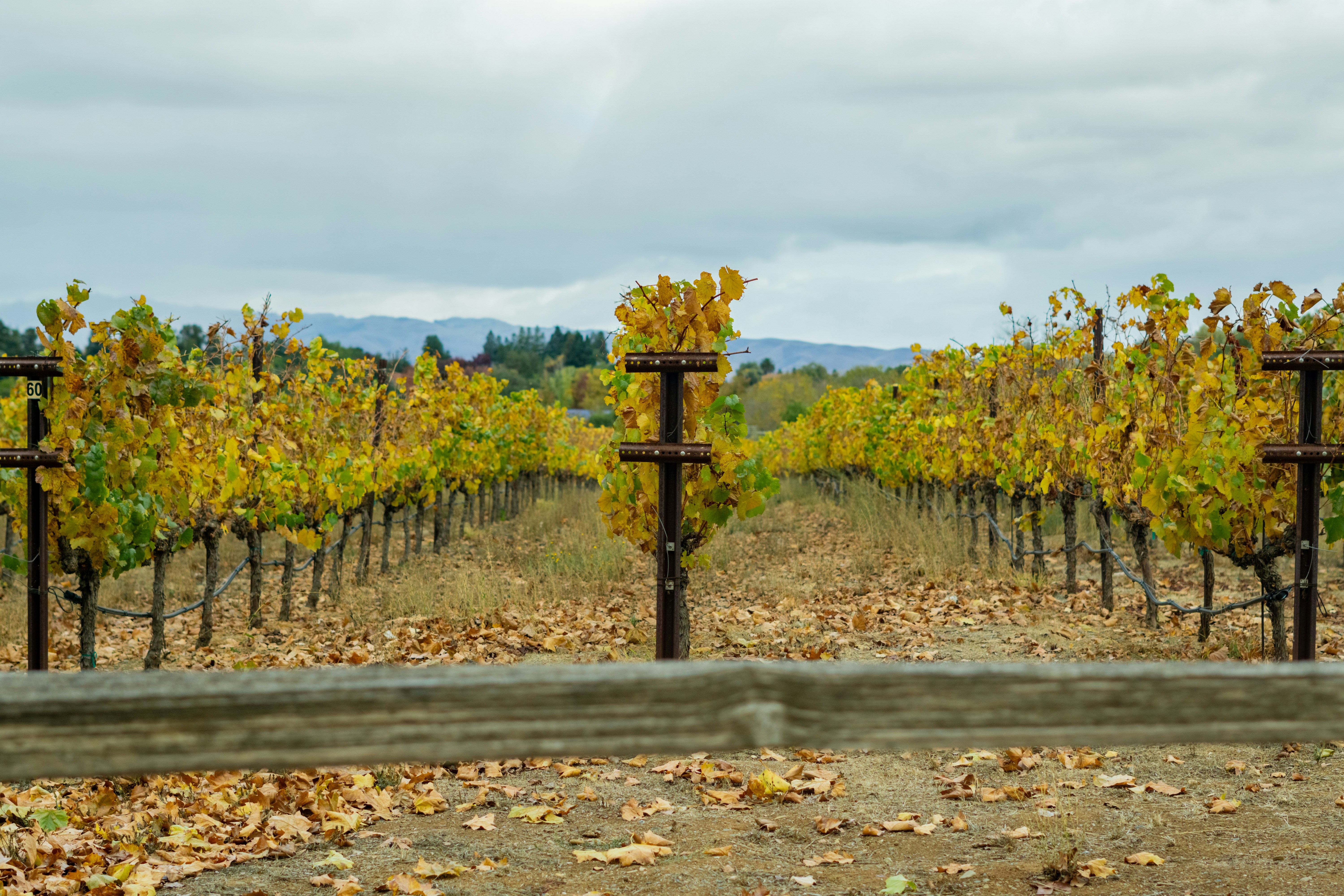 Photo by spencer_demera