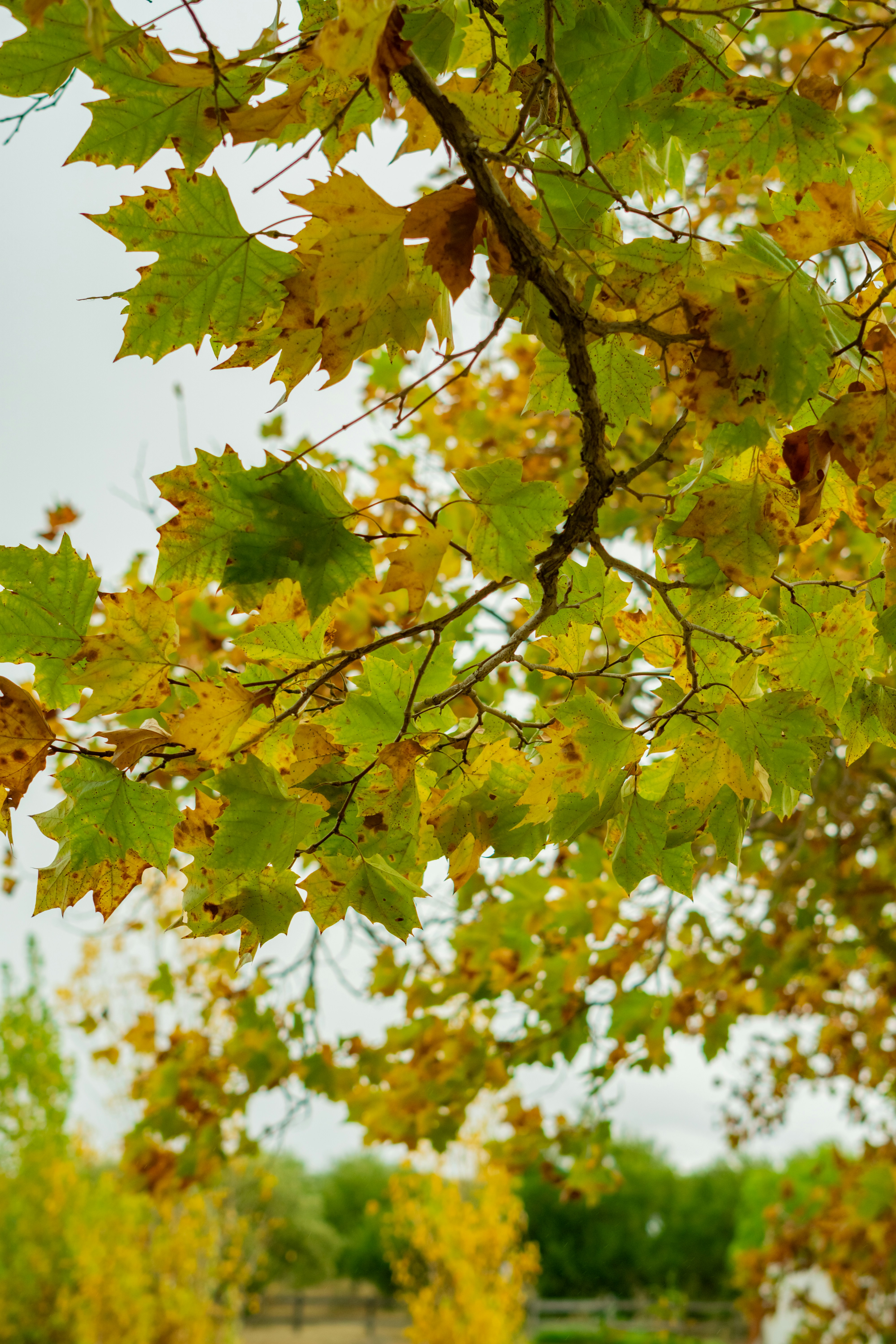 Photo by spencer_demera