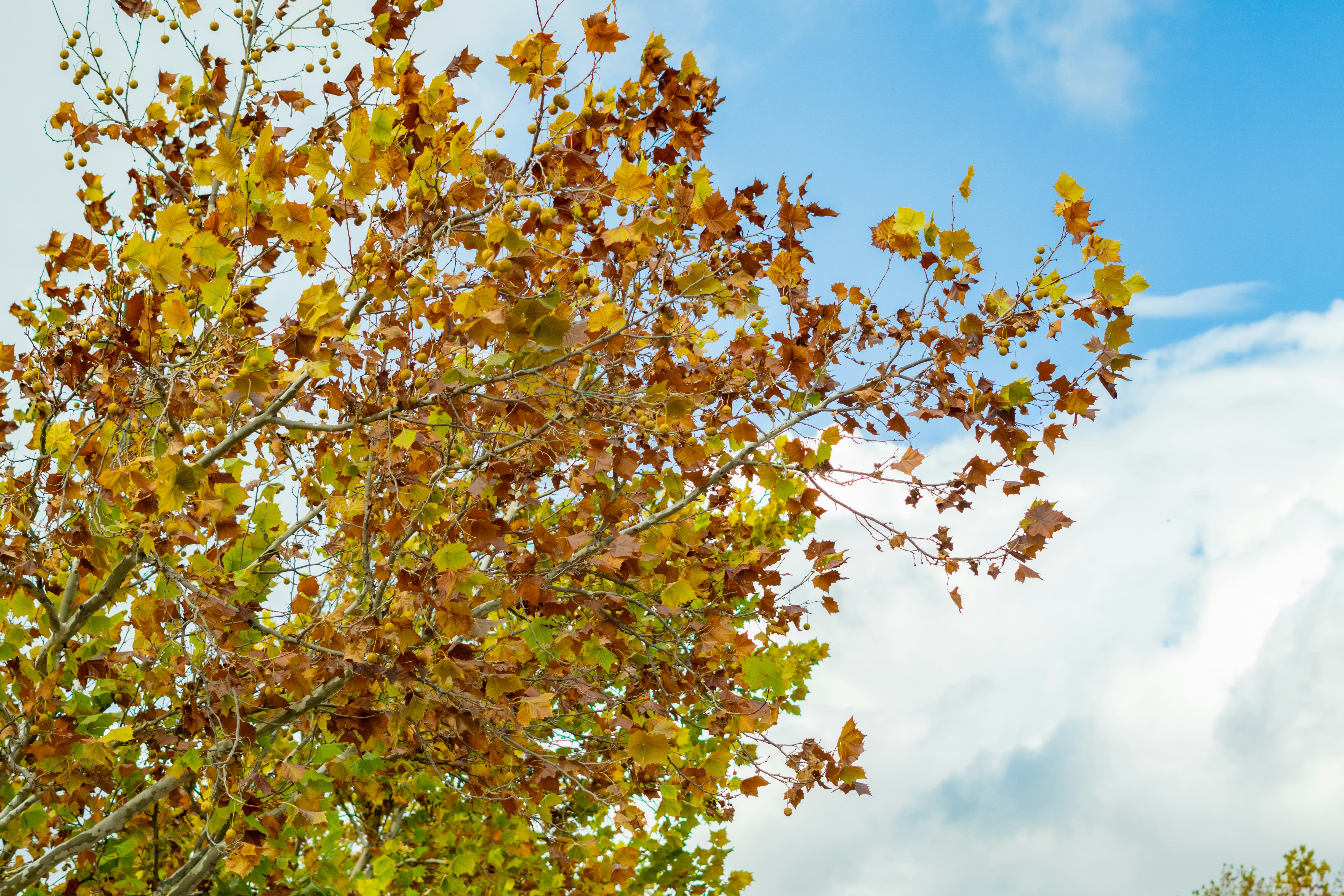 Photo by spencer_demera