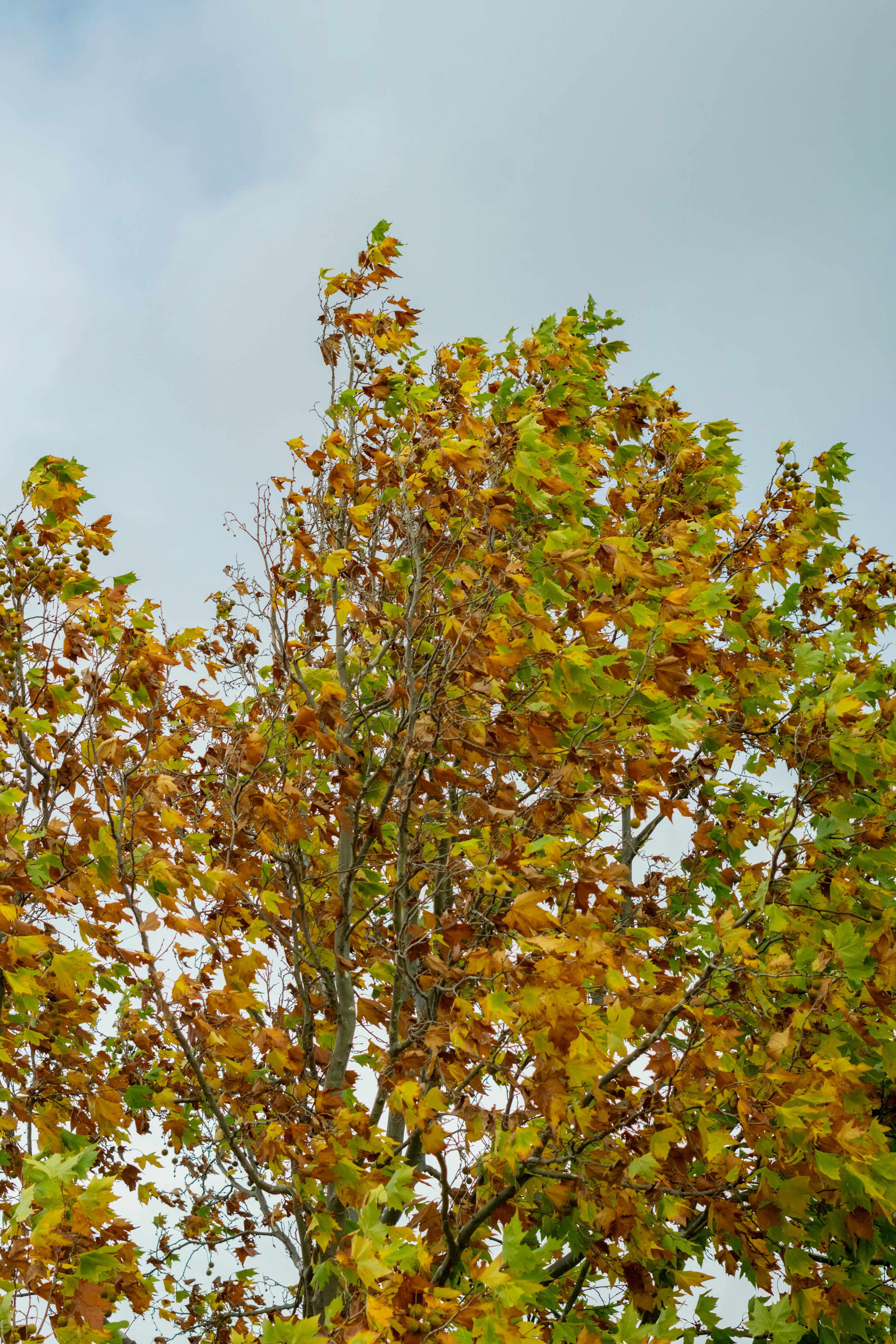 Photo by spencer_demera