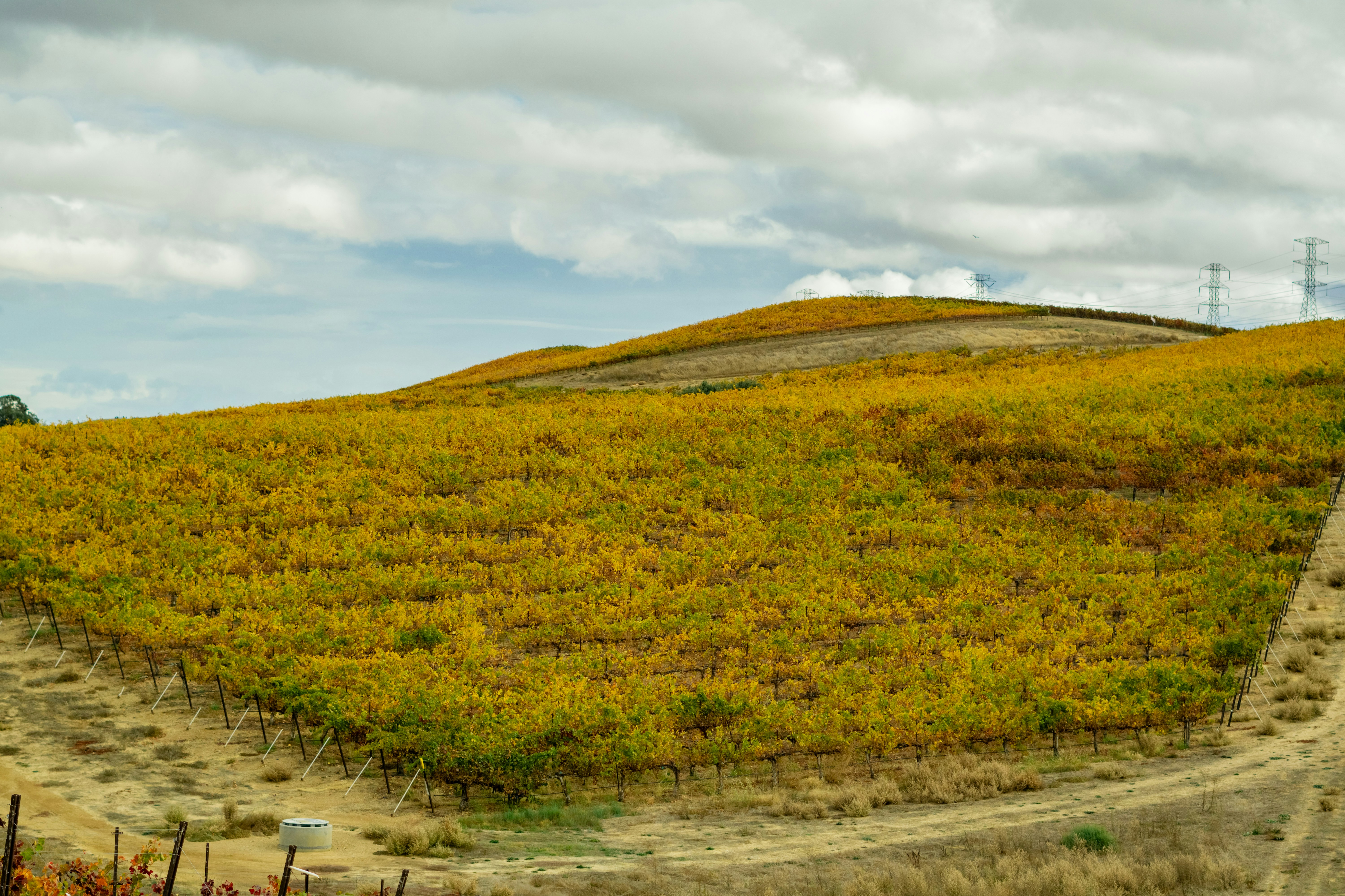 Photo by spencer_demera