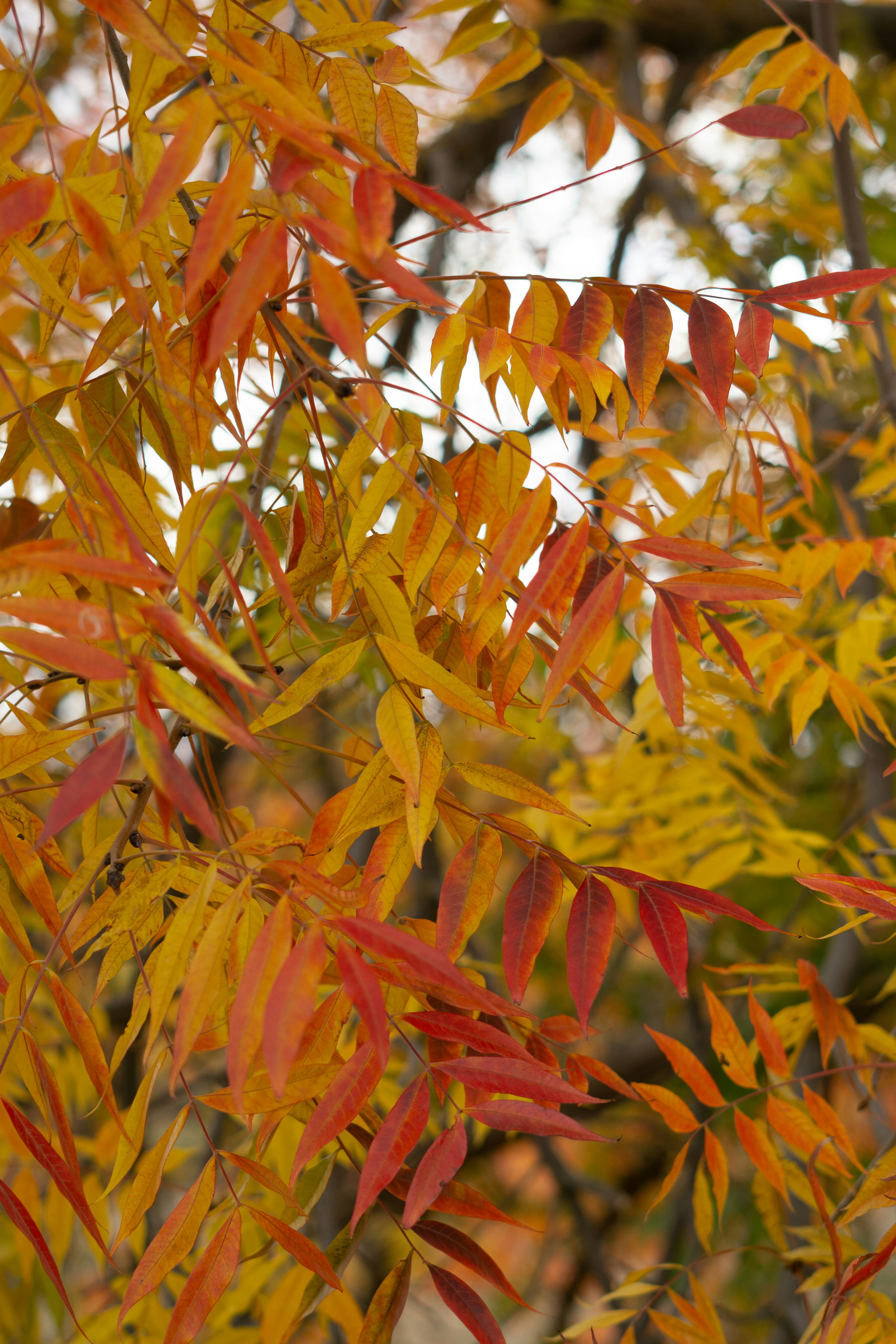 Photo by spencer_demera