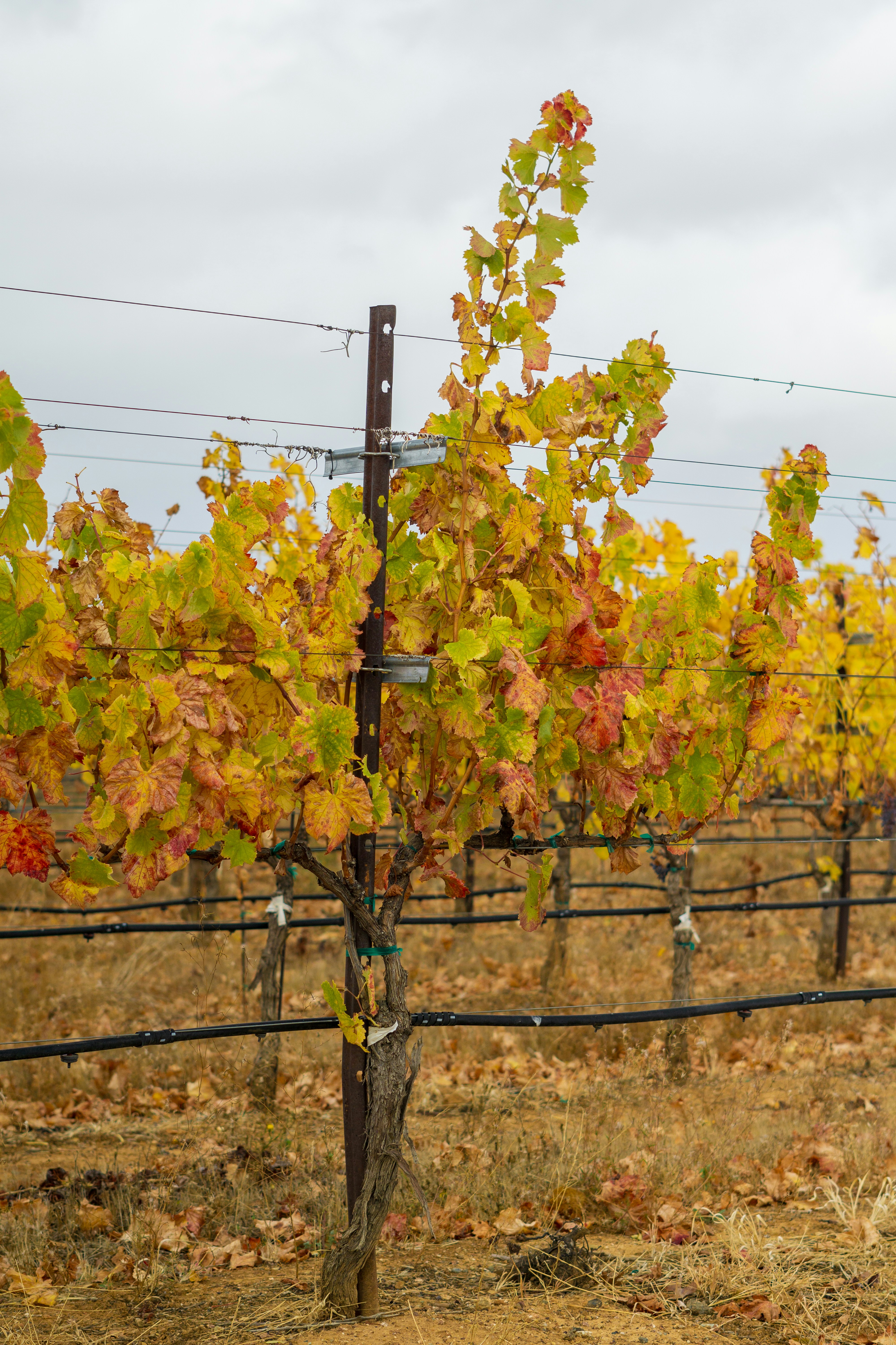 Photo by spencer_demera