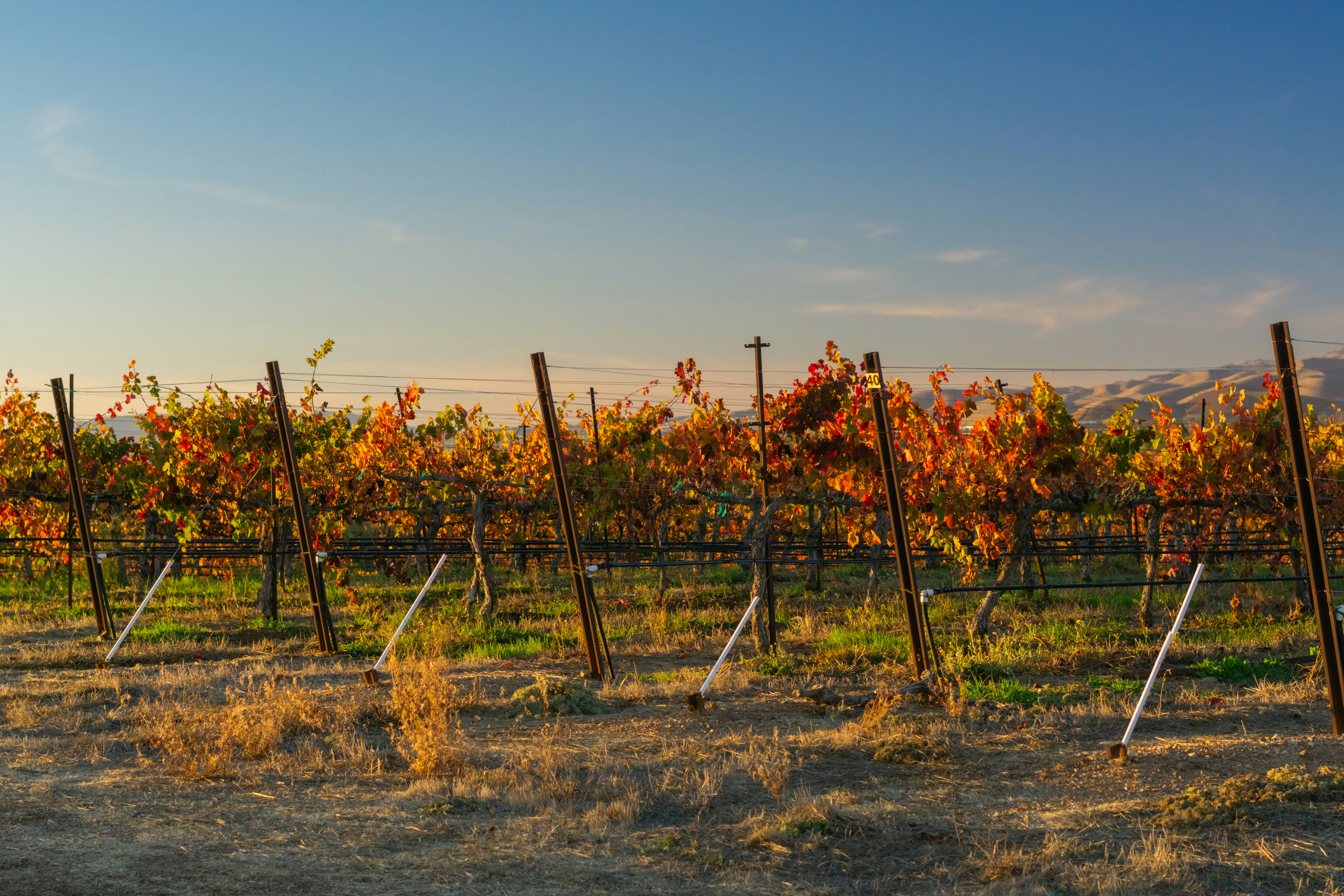 Photo by spencer_demera