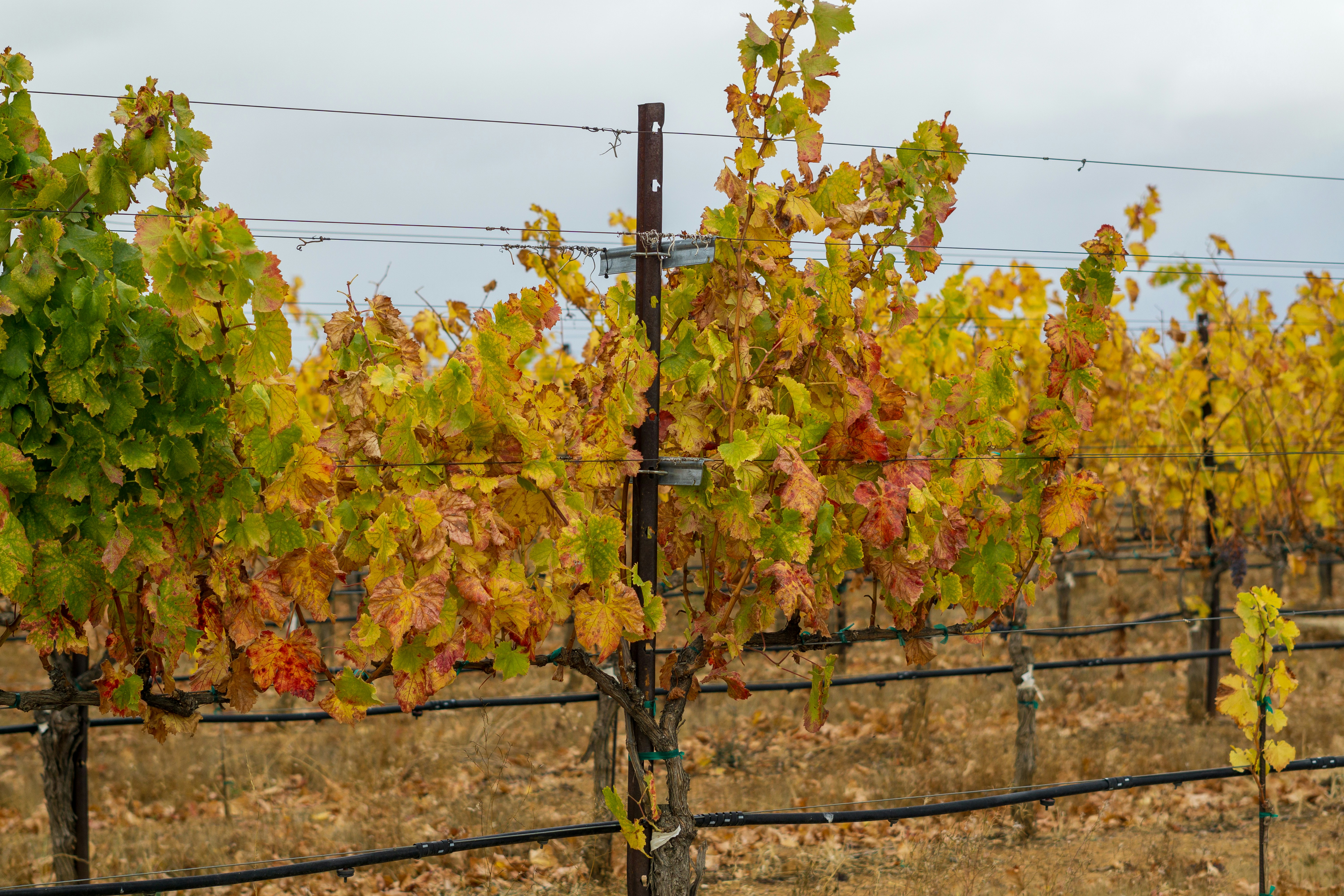 Photo by spencer_demera