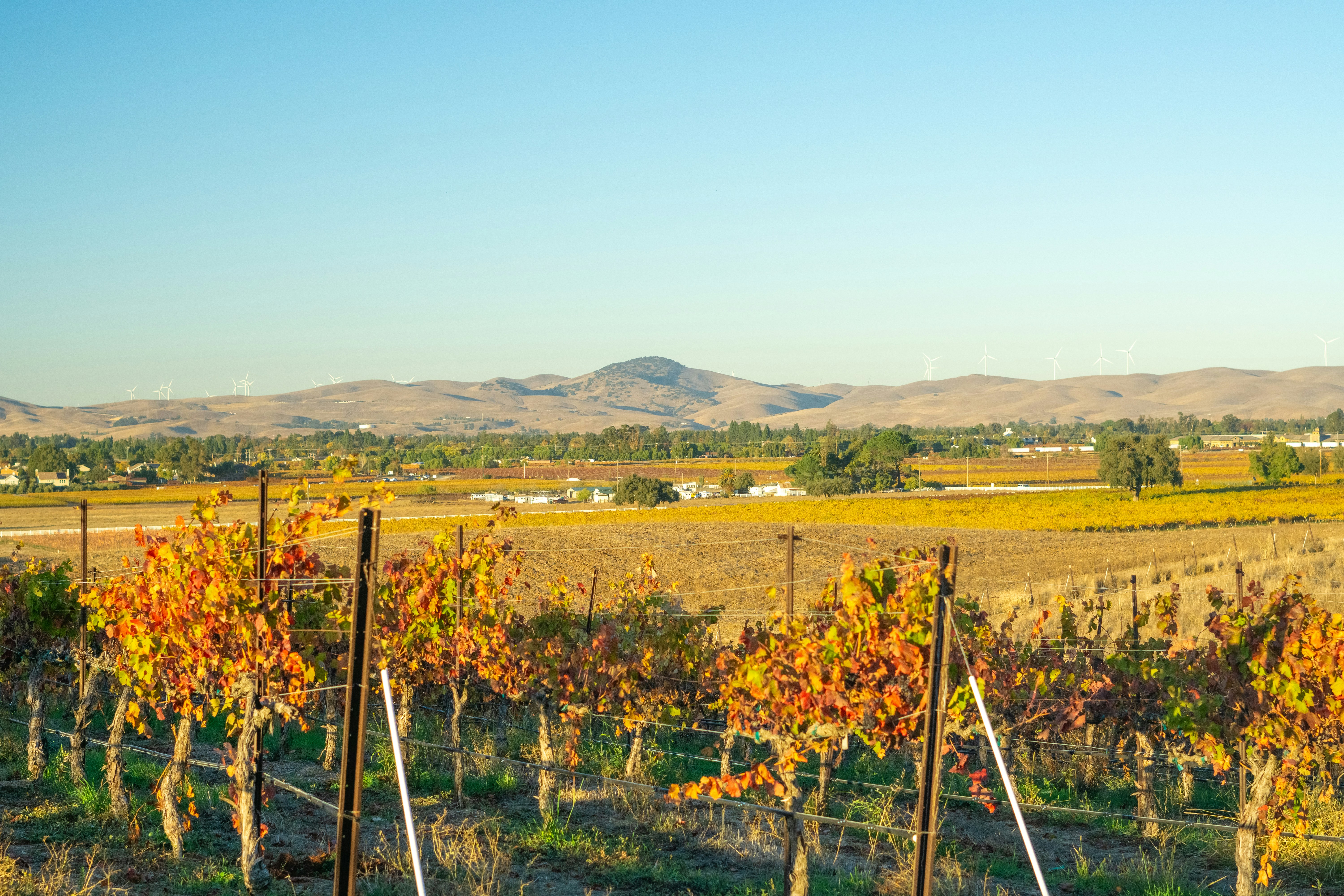 Photo by spencer_demera