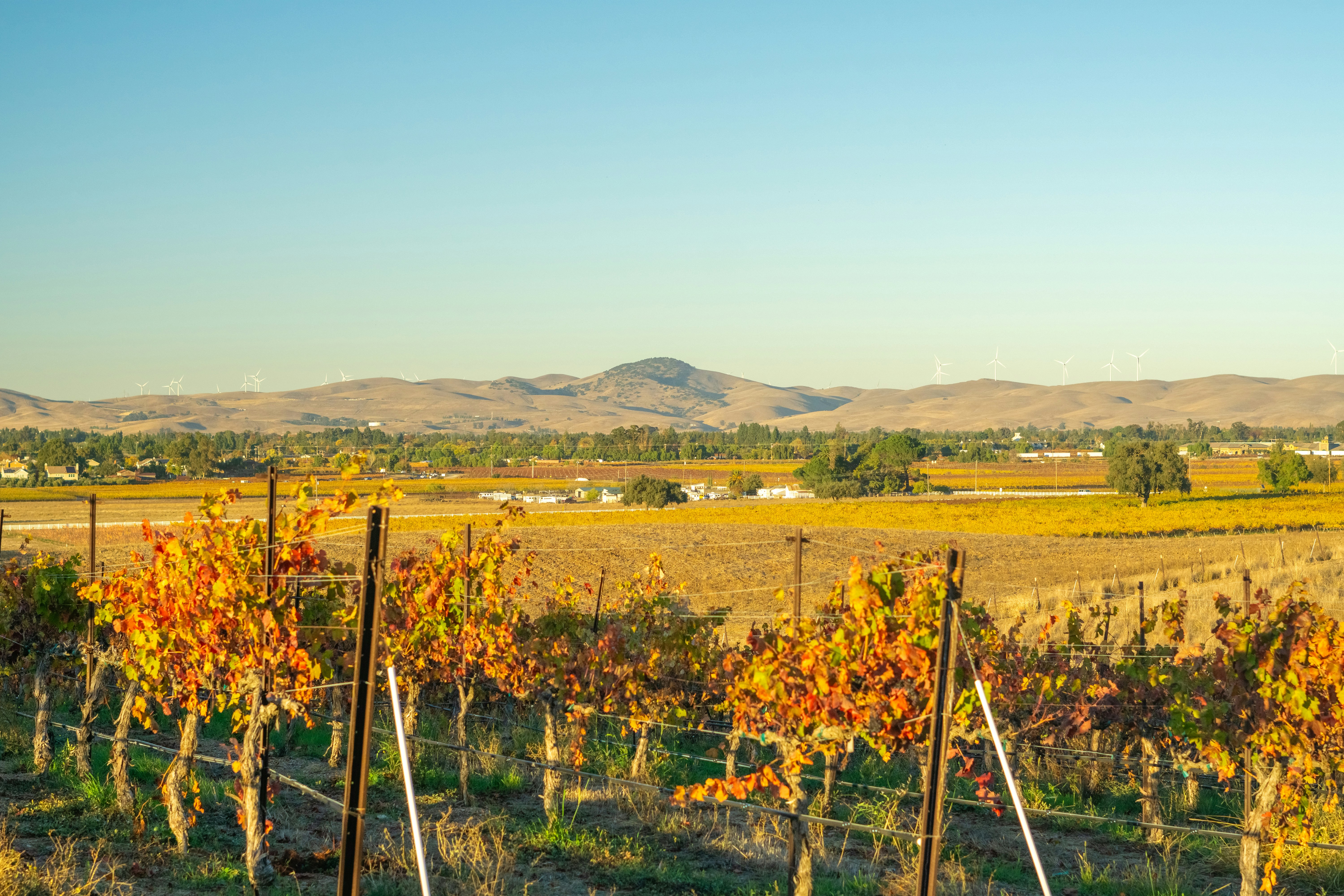 Photo by spencer_demera