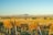 A vineyard with rows of grapevines containing autumn-colored leaves stretches towards distant hills. The landscape includes wind turbines scattered across the horizon and fields in vibrant shades of green, yellow, and brown. A few buildings are visible among the fields.