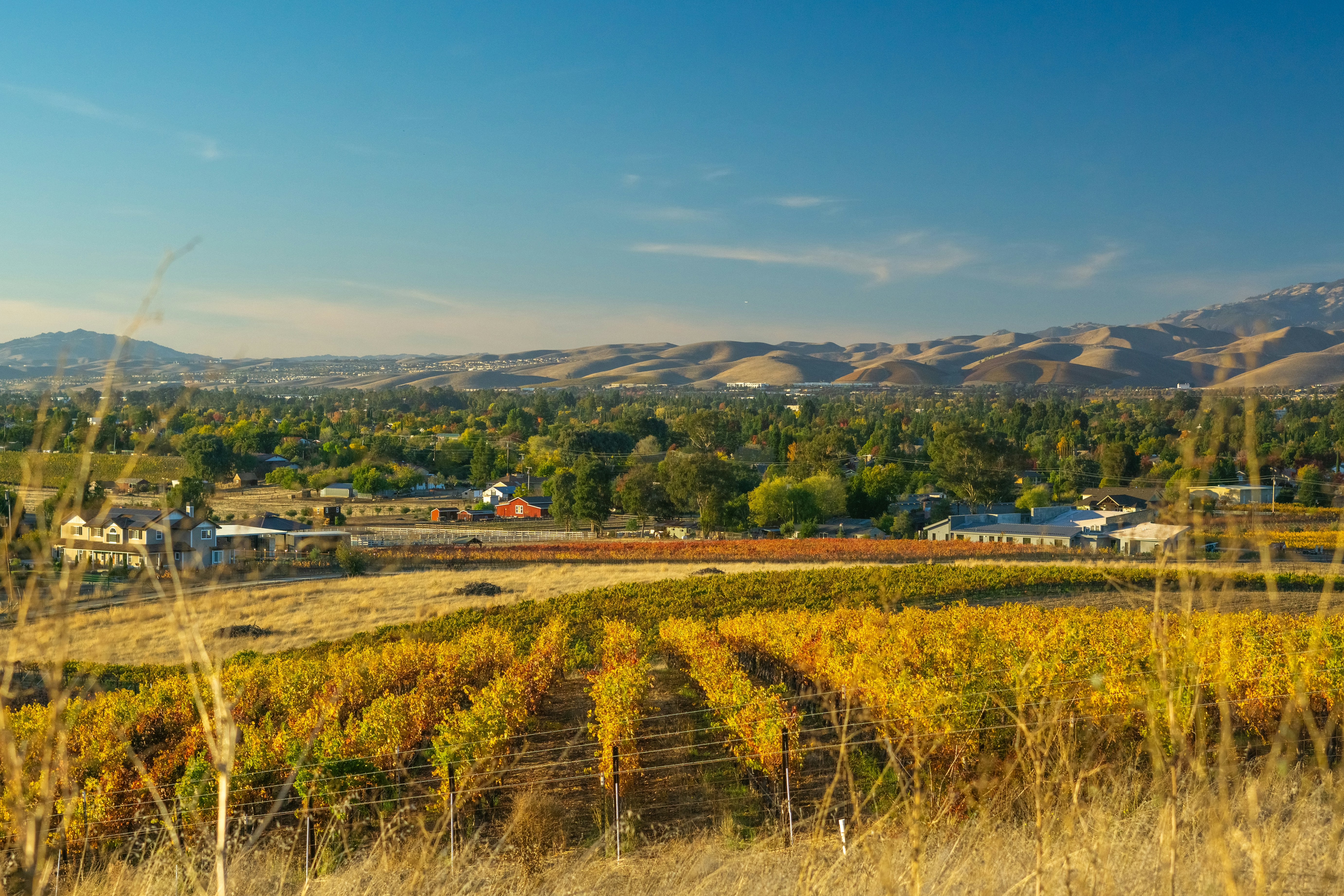 Photo by spencer_demera