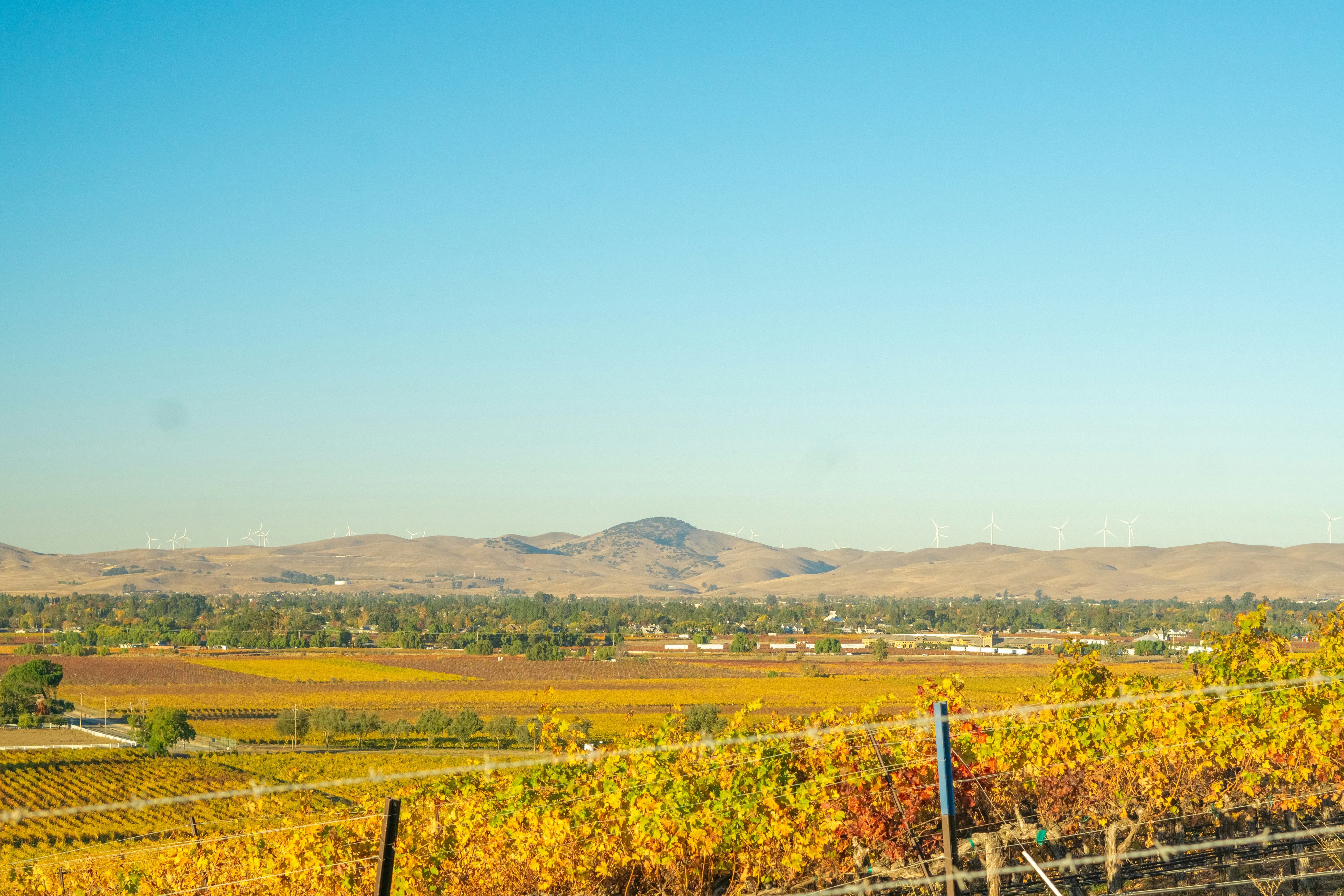 Photo by spencer_demera