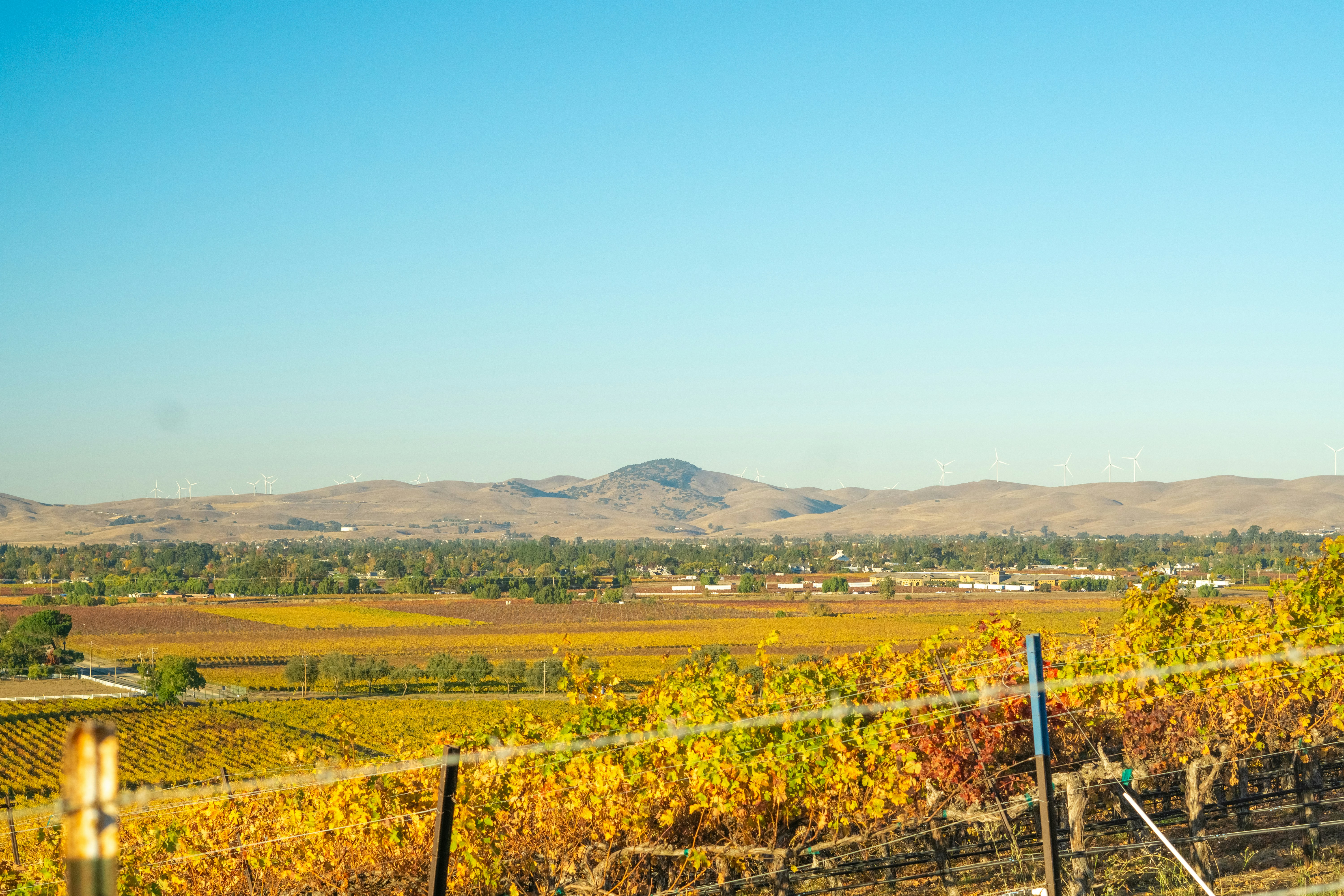 Photo by spencer_demera